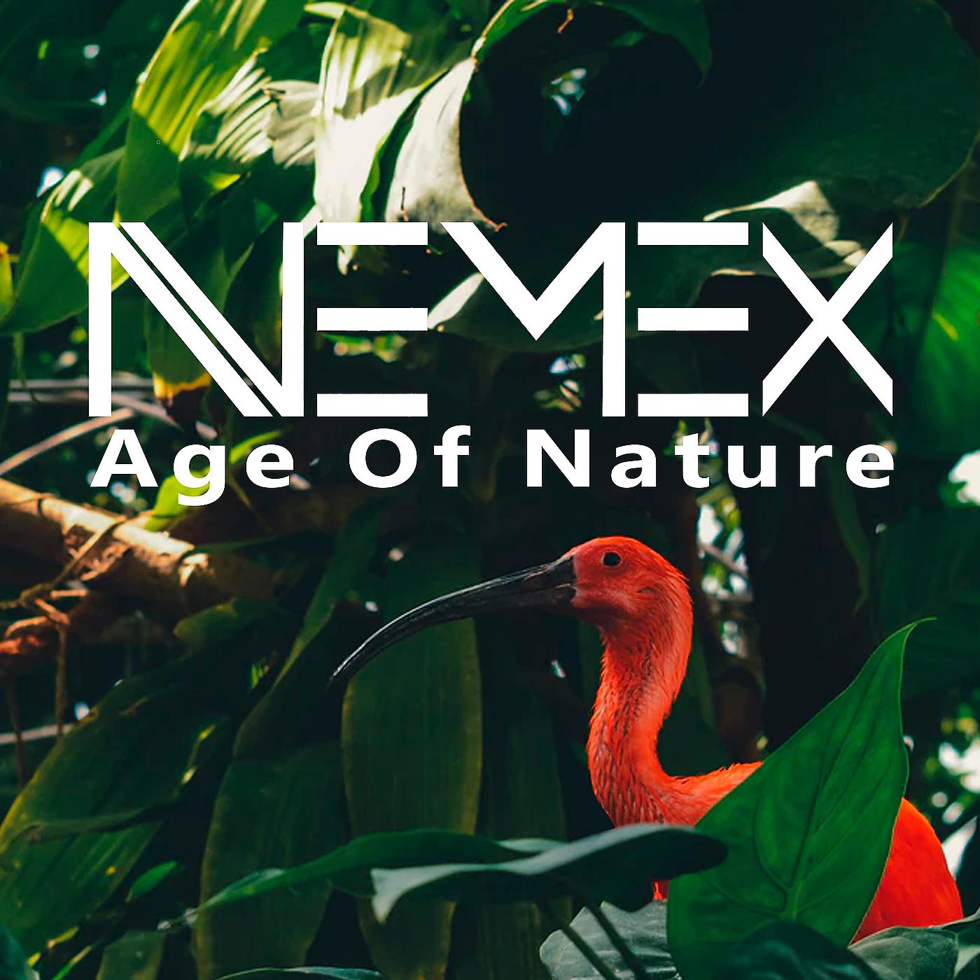 Постер альбома Age of Nature