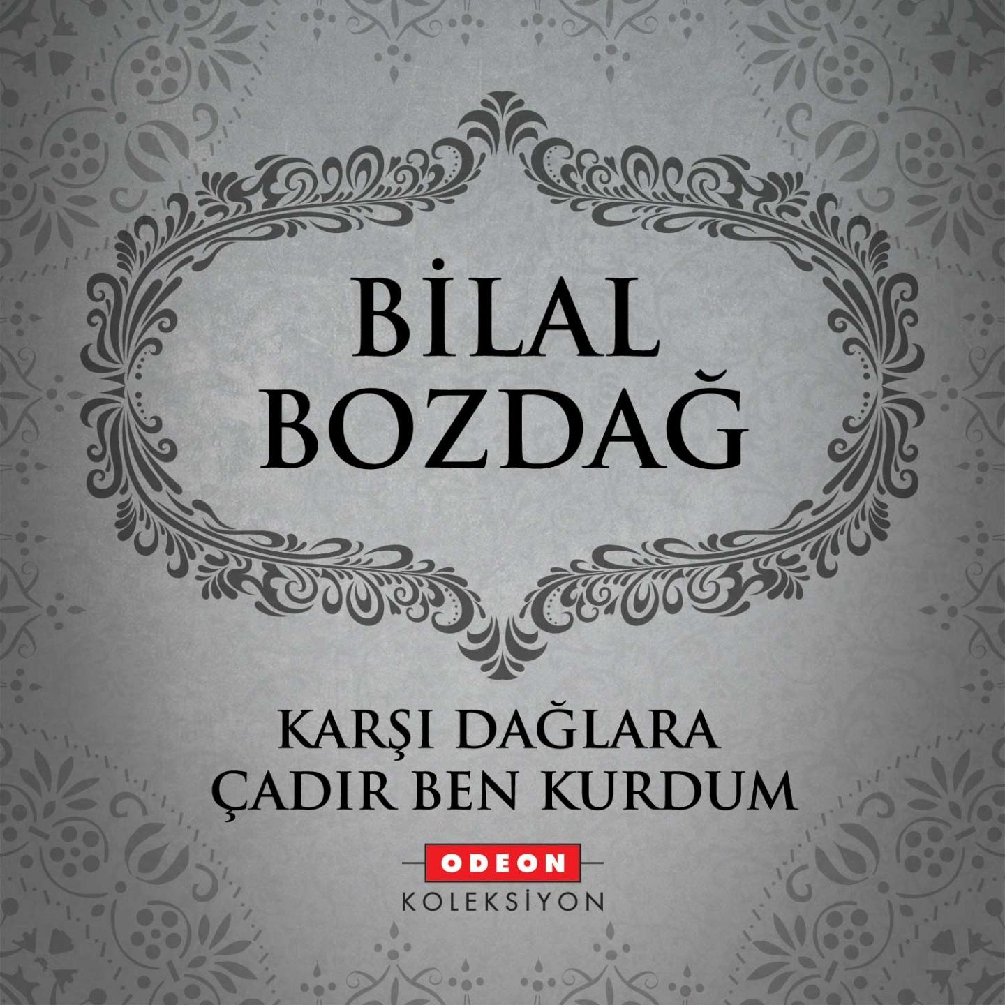 Постер альбома Karşı Dağlara Çadır Ben Kurdum