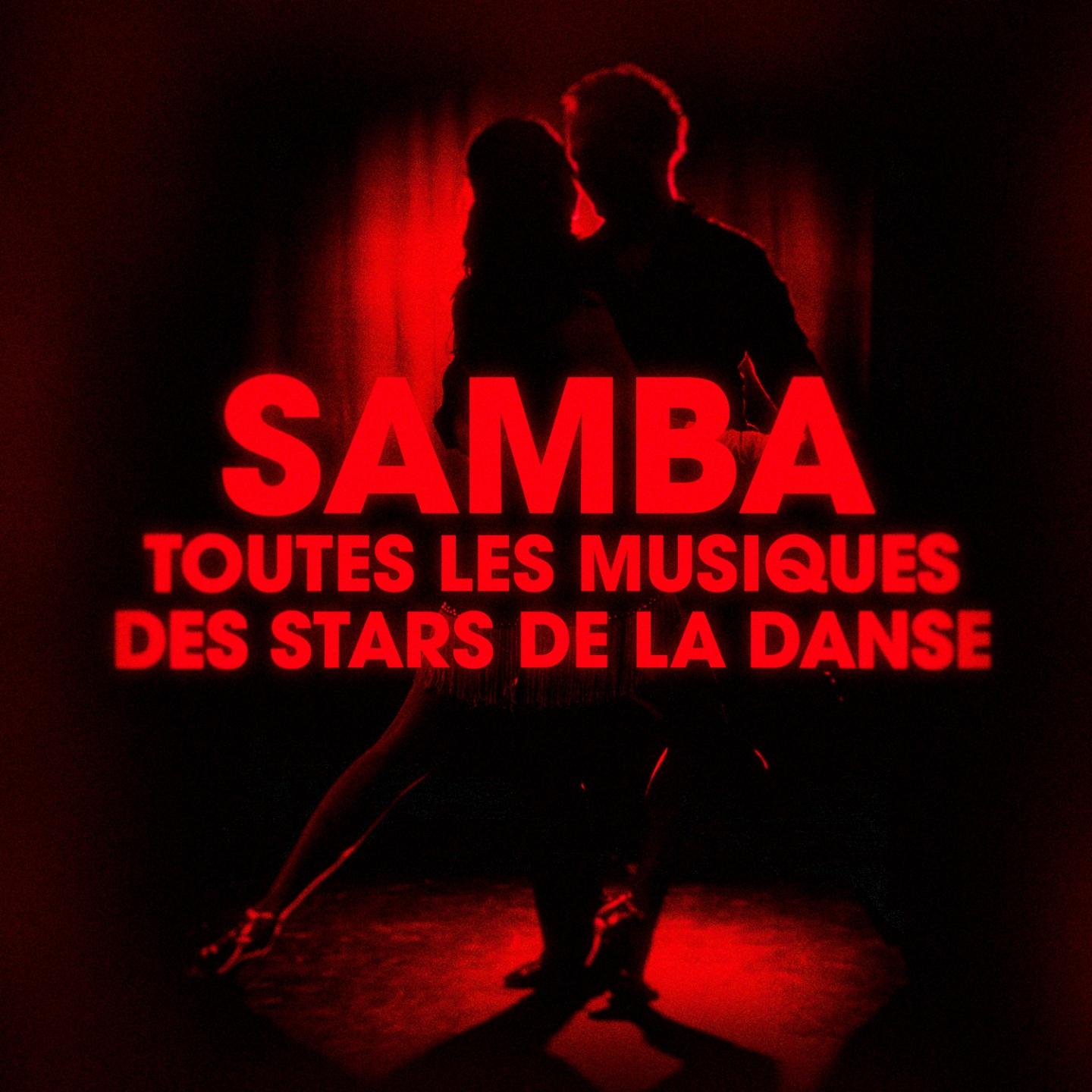 Постер альбома Dansez la samba