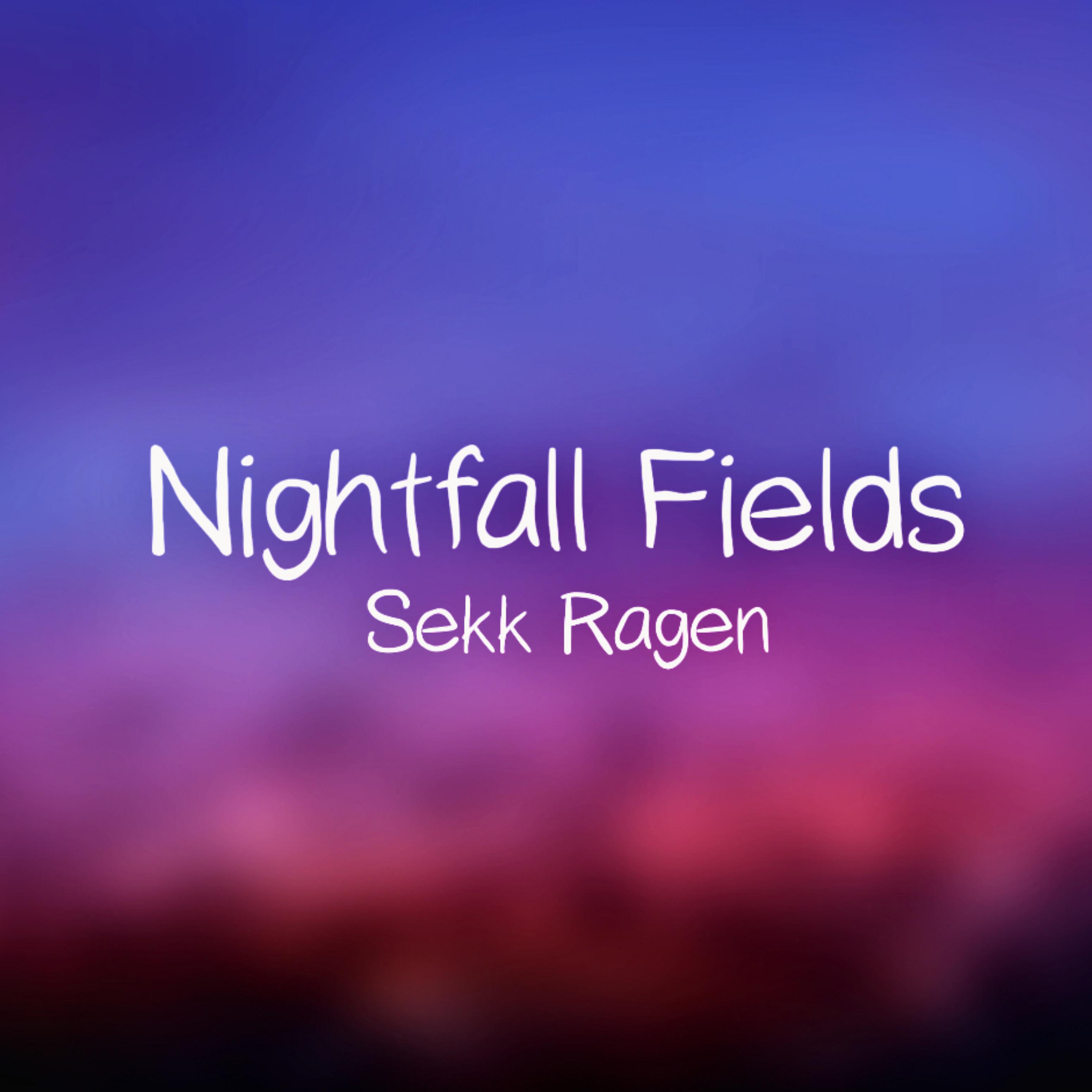 Постер альбома Nightfall Fields