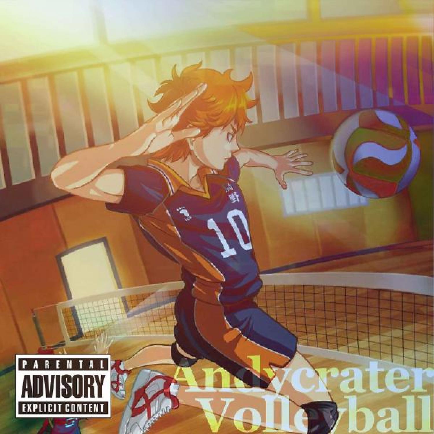 Постер альбома Volleyball 