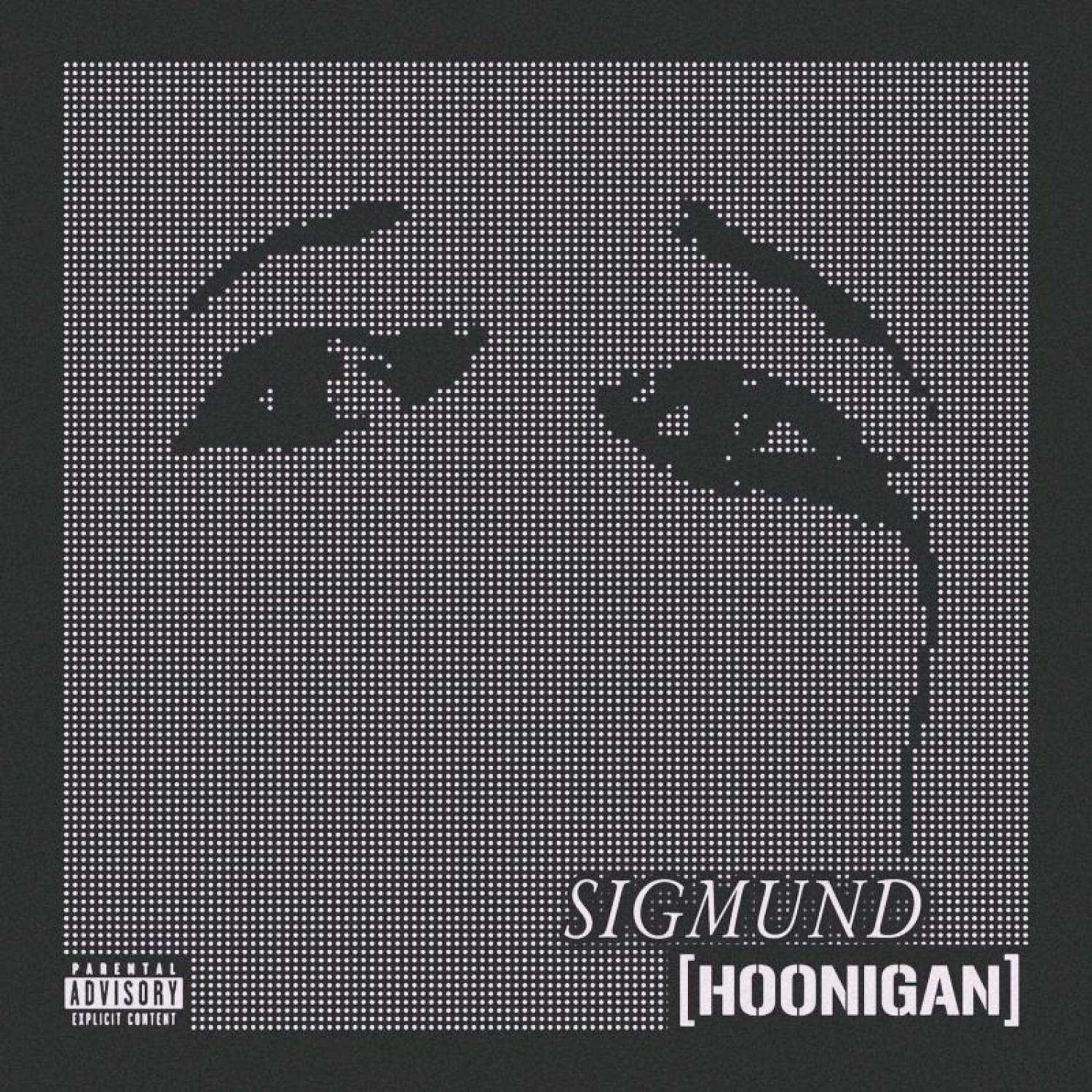 Постер альбома Hoonigan