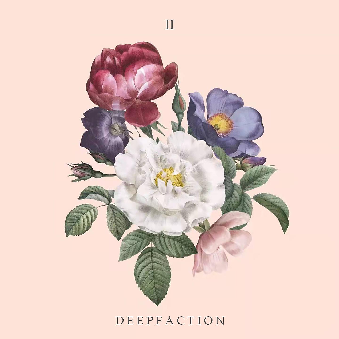 Постер альбома Deepfaction II:Rebirth