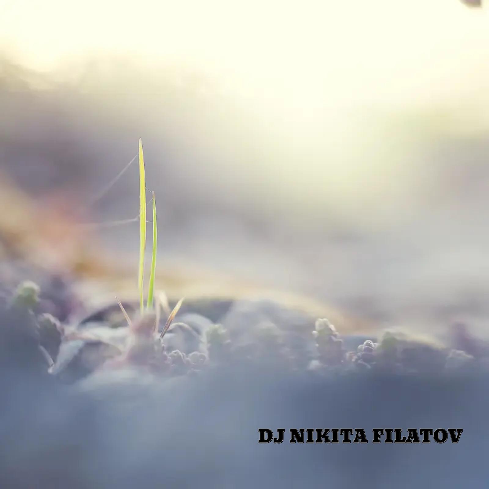 Постер альбома DJ Nikita Filatov 
