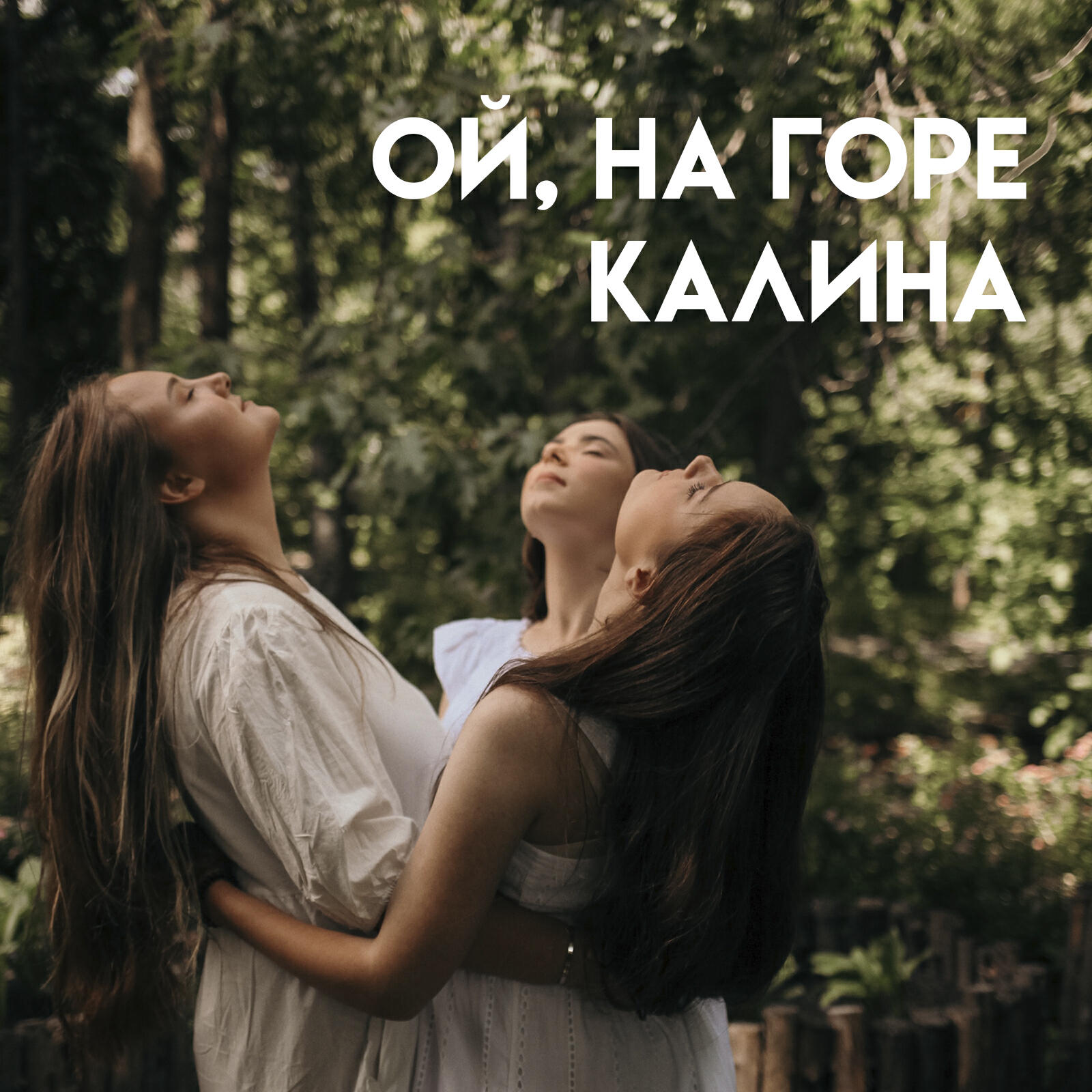на горе то калина