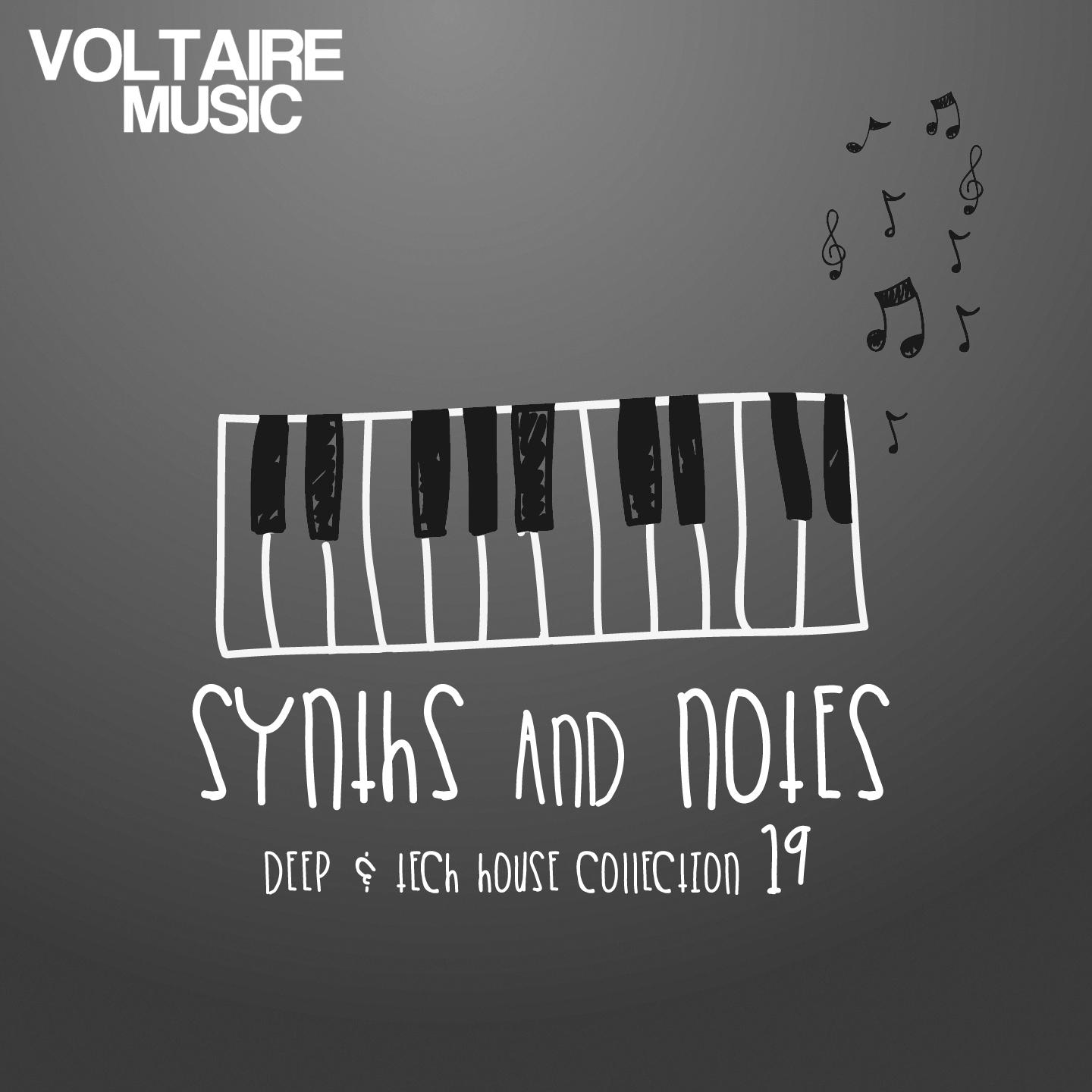 Постер альбома Synths and Notes 19