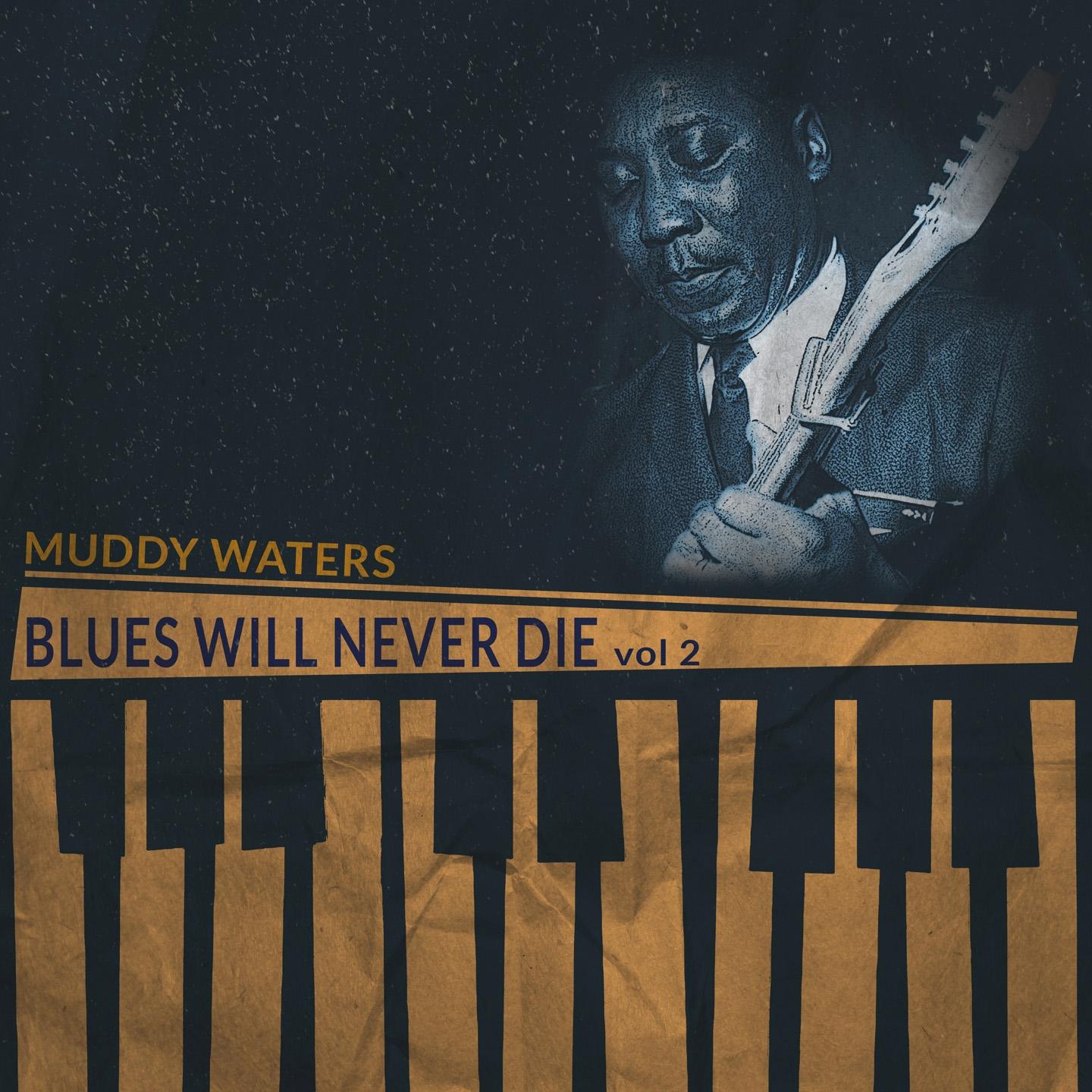 Постер альбома Blues Will Never Die, Vol. 2