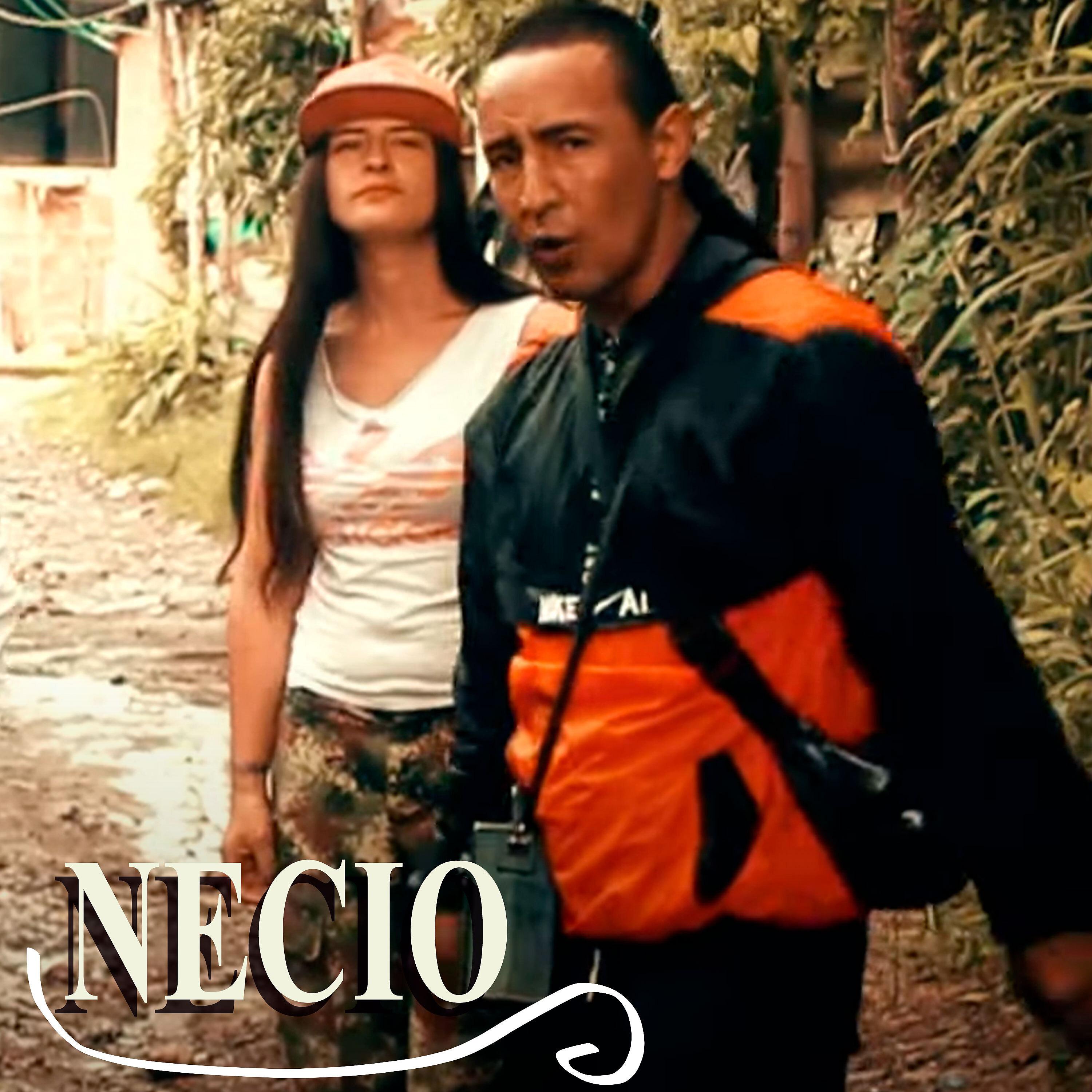 Постер альбома Necio