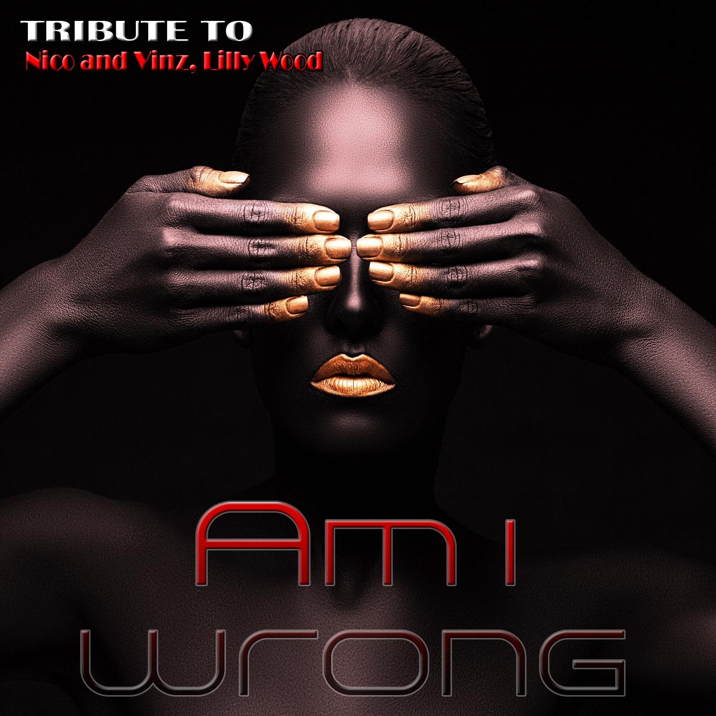 Постер альбома Am I Wrong: Tribute To Nico & Vinz, Lilly Wood