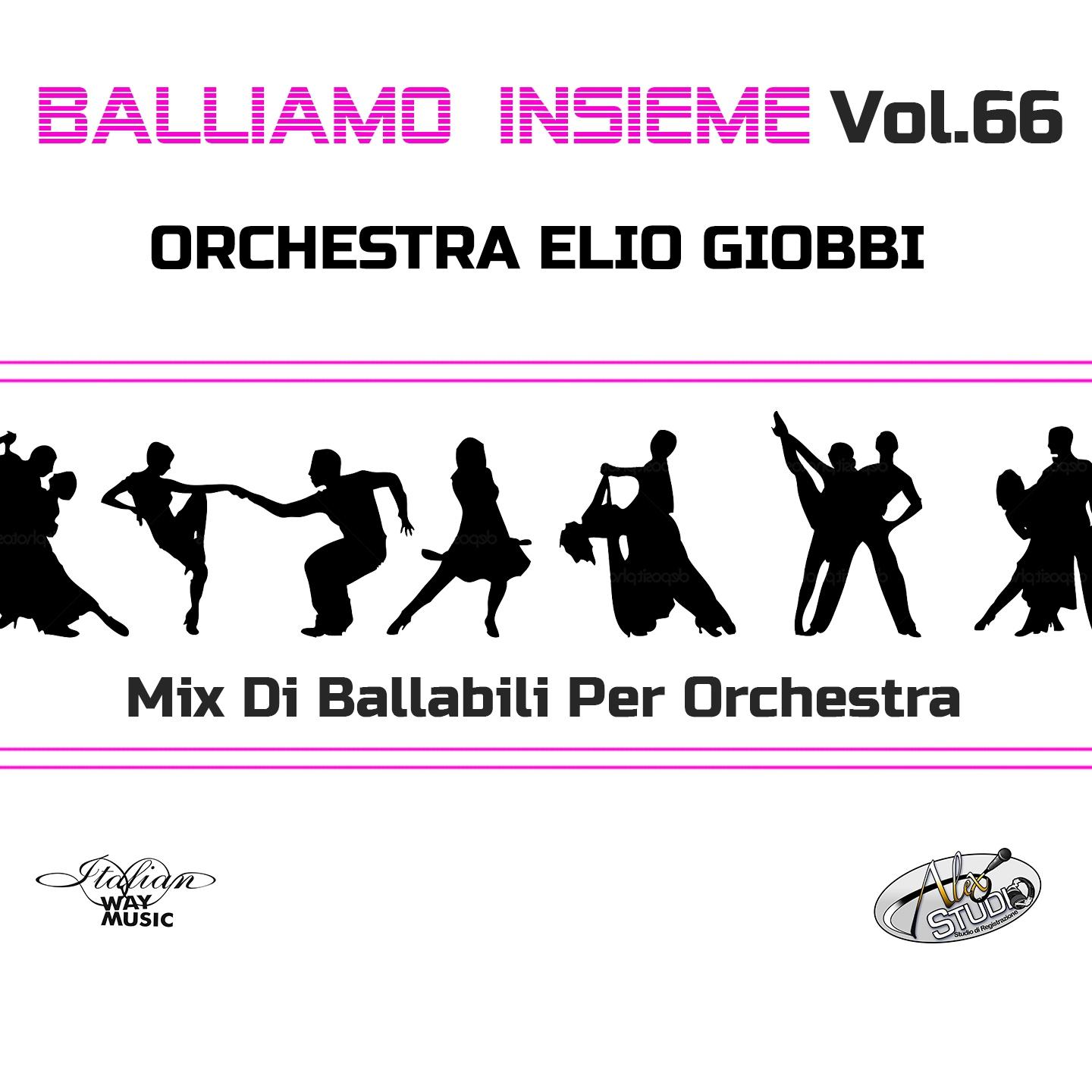Постер альбома Balliamo insieme, Vol. 66 (Mix di ballabili per orchestra)
