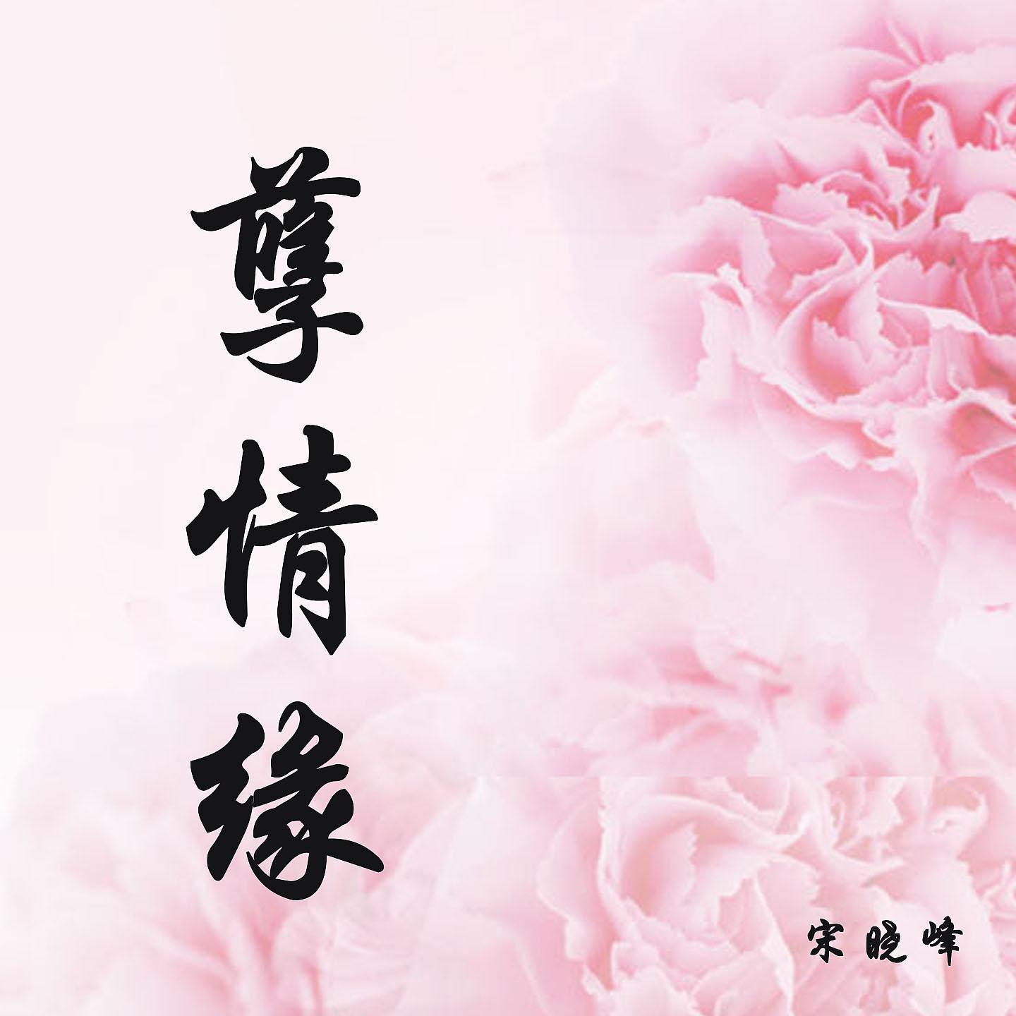Постер альбома 孽情缘