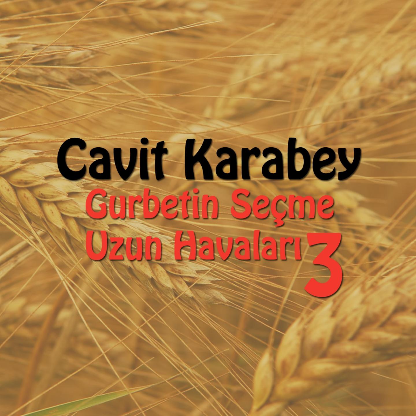 Постер альбома Gurbetin Seçme Uzun Havaları, Vol. 3