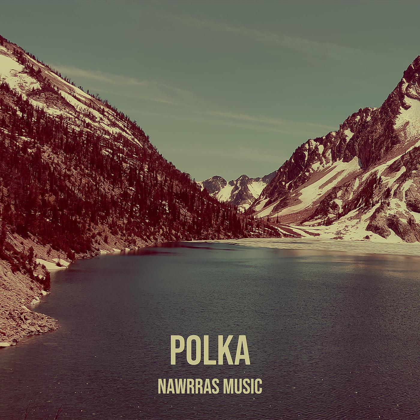 Постер альбома Polka