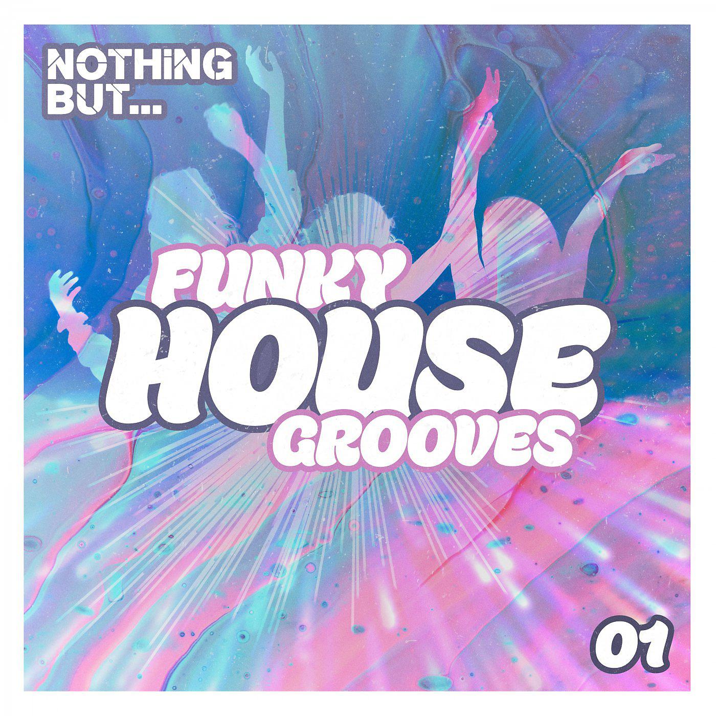 Постер альбома Nothing But... Funky House Grooves, Vol. 01