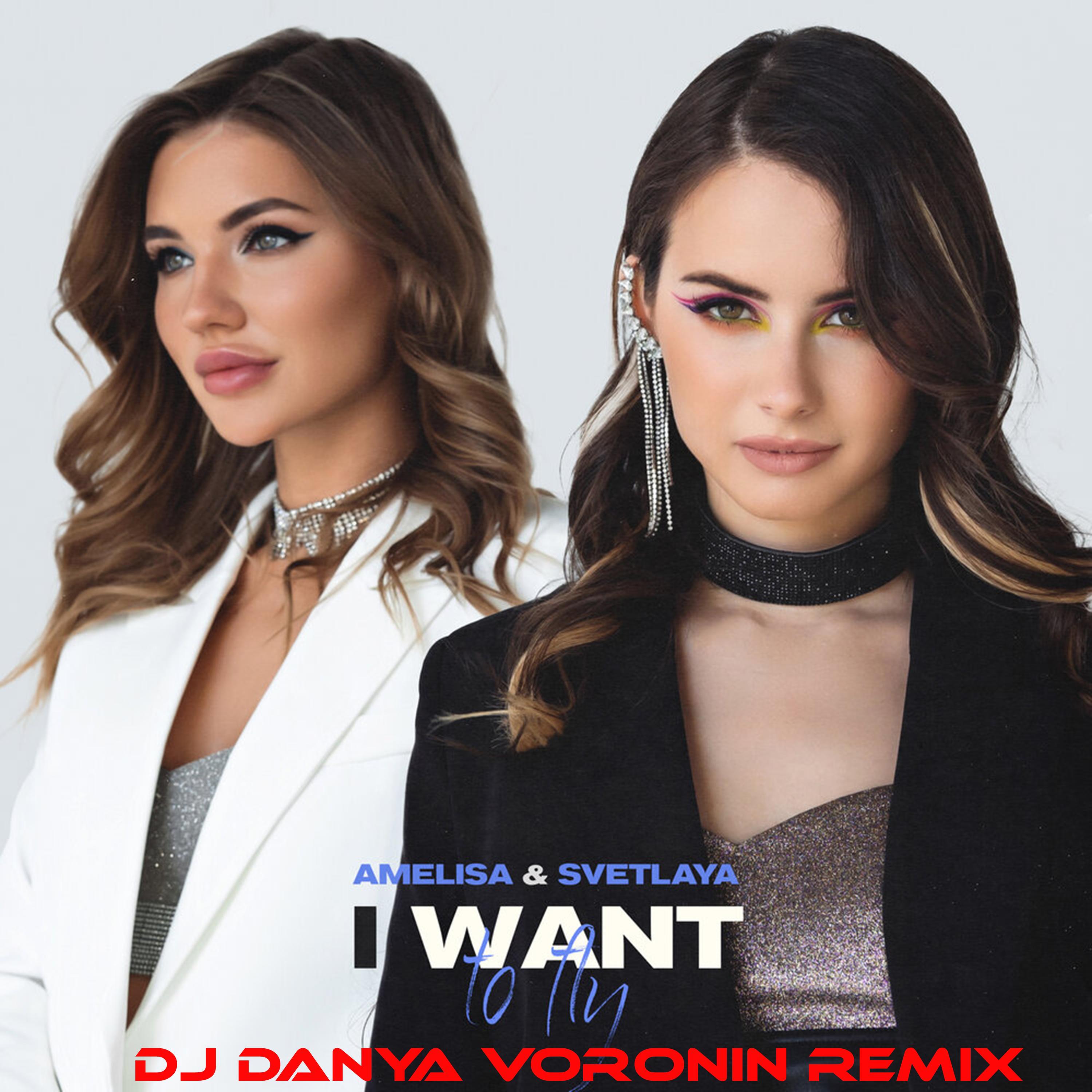 Постер альбома I Want to Fly (DJ Danya Voronin Remix)