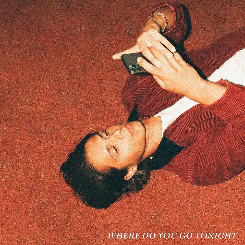 Постер альбома Where Do You Go Tonight