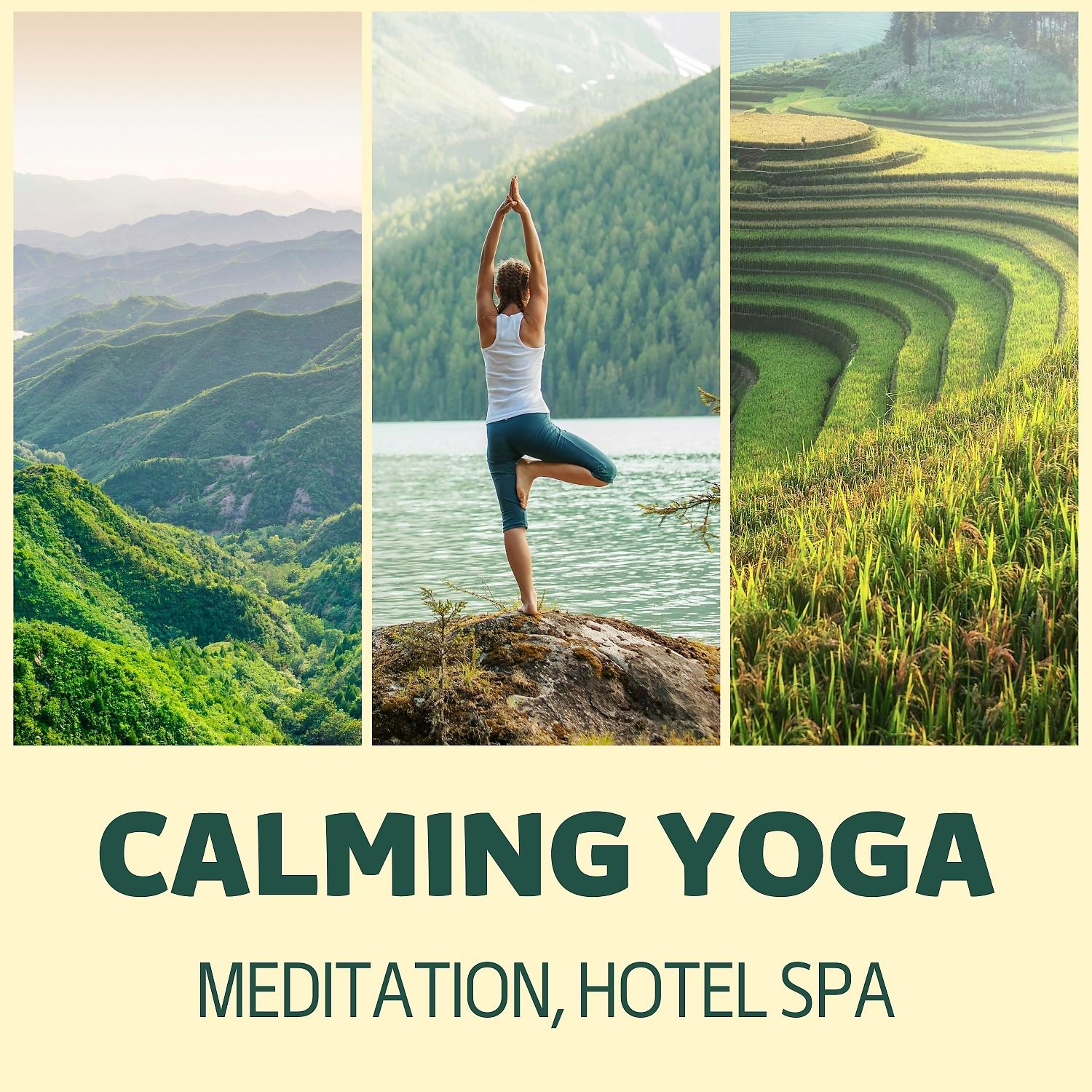 Постер альбома Calming Yoga