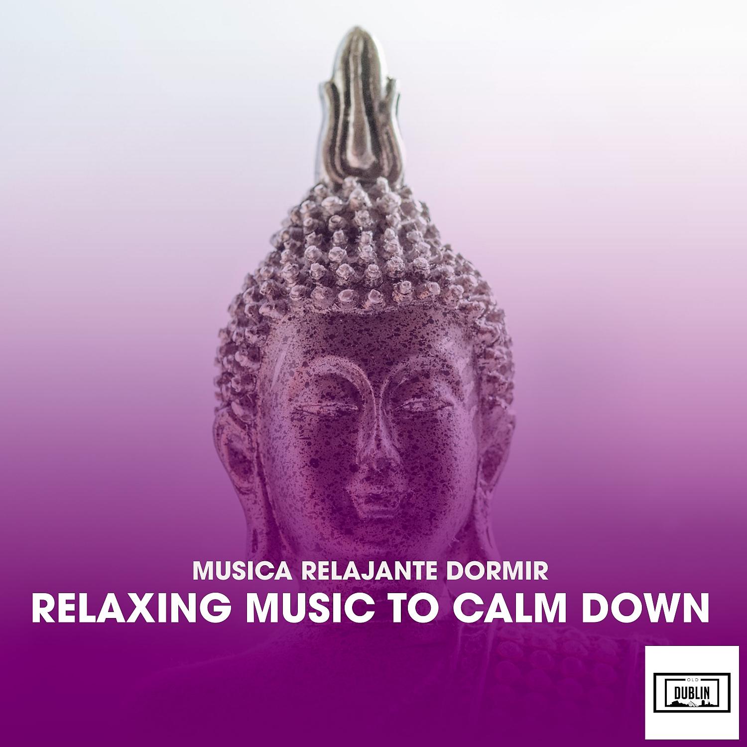 Постер альбома Relaxing Music to Calm Down