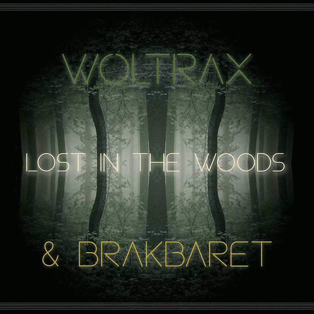 Постер альбома Lost in the Woods