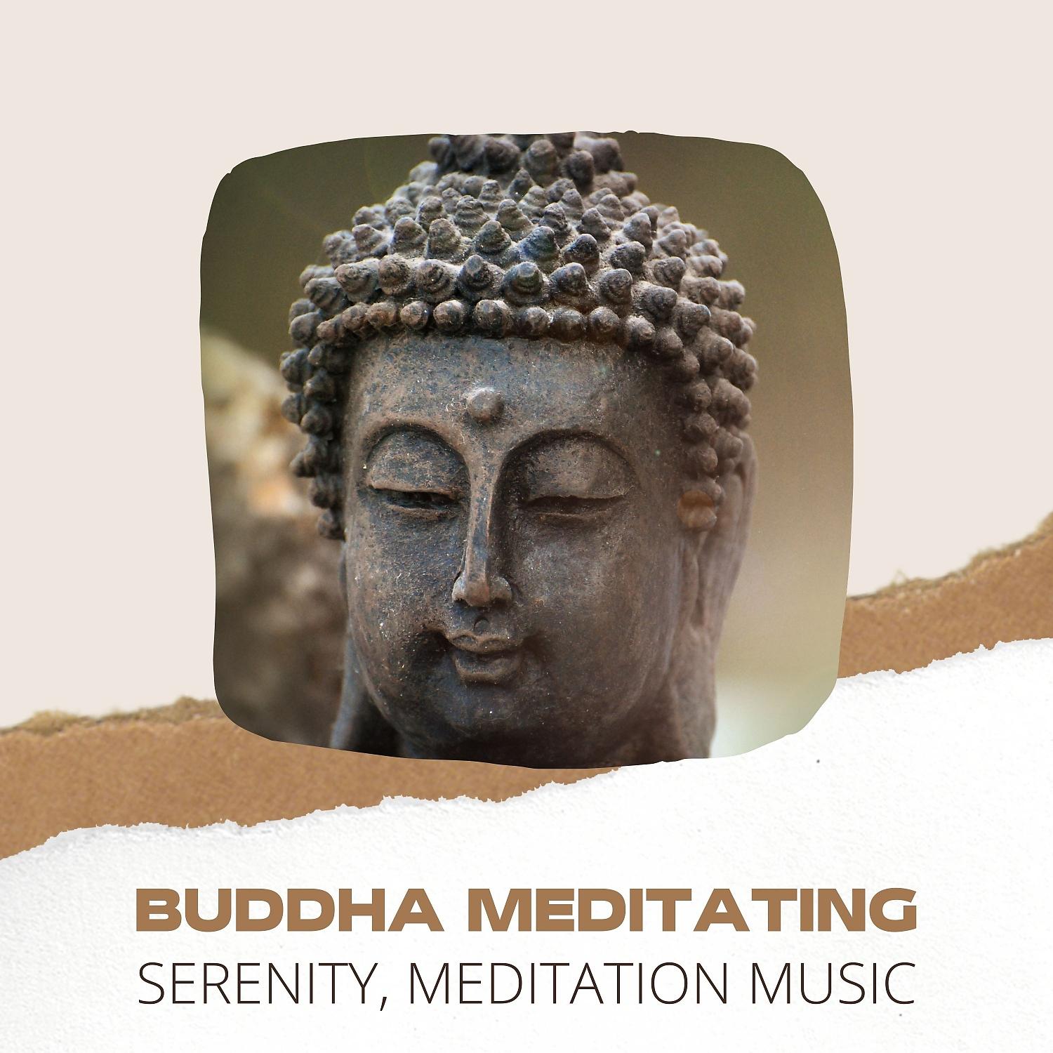 Постер альбома Buddha Meditating