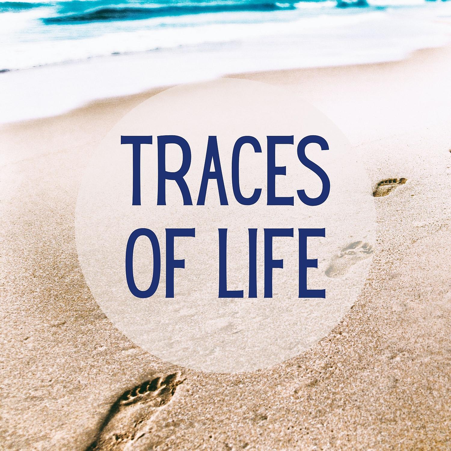 Постер альбома Traces of Life