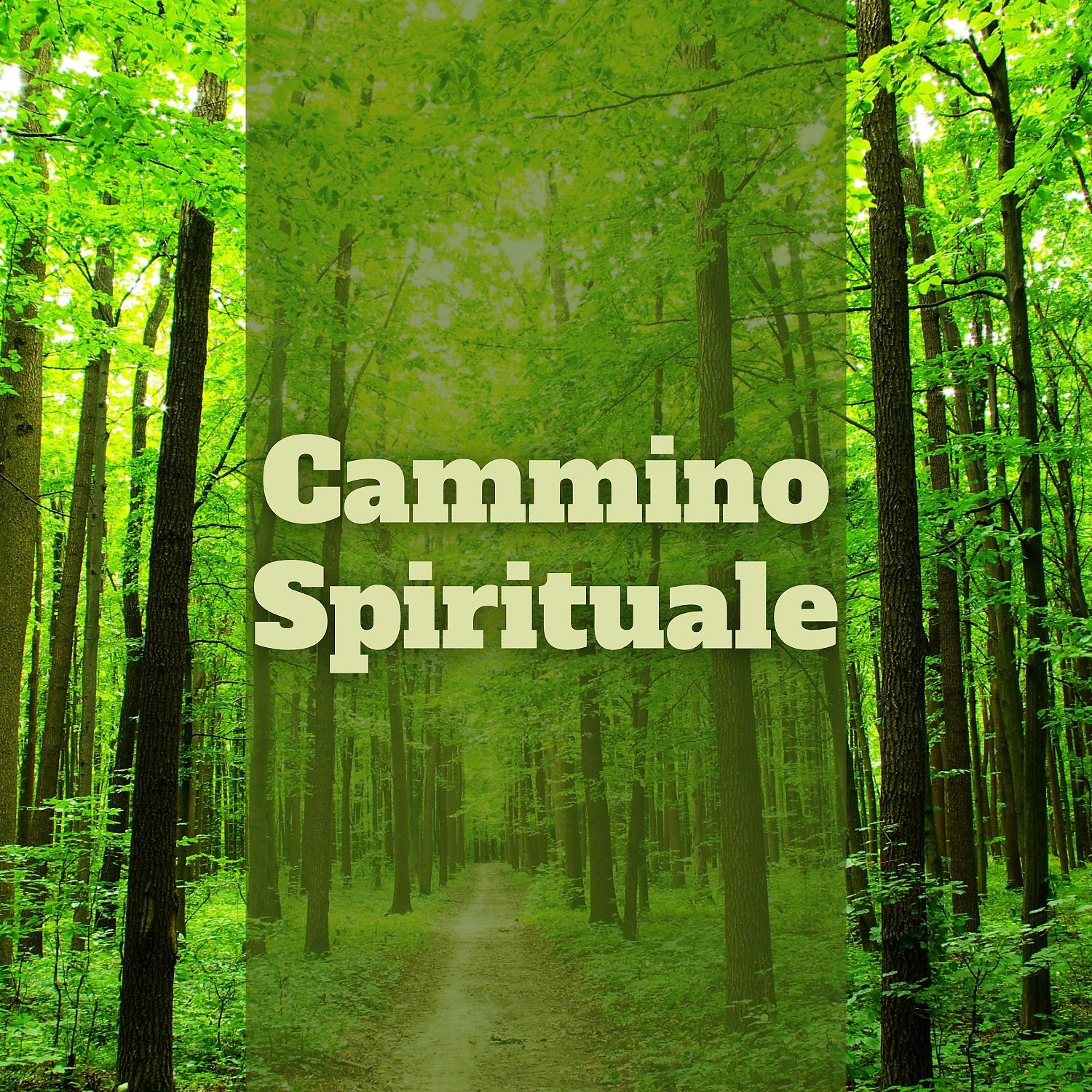 Постер альбома Cammino Spirituale