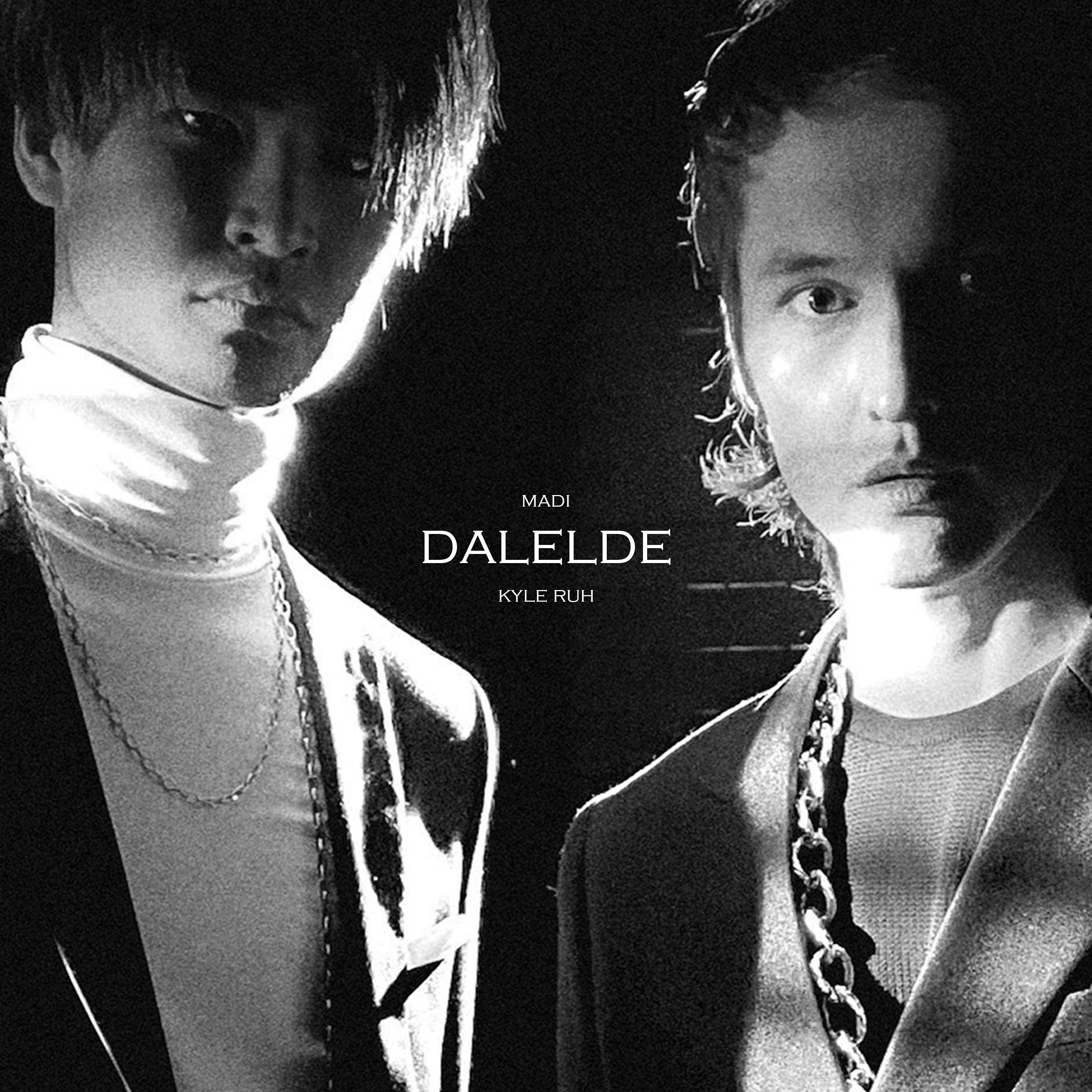 Постер альбома Dalelde