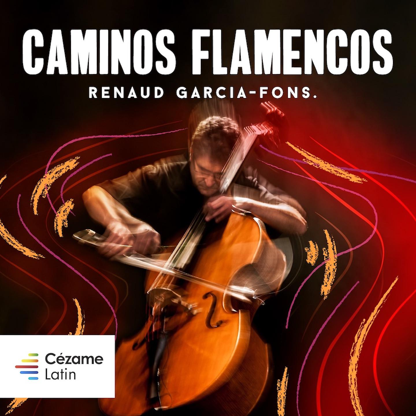 Постер альбома Caminos Flamencos
