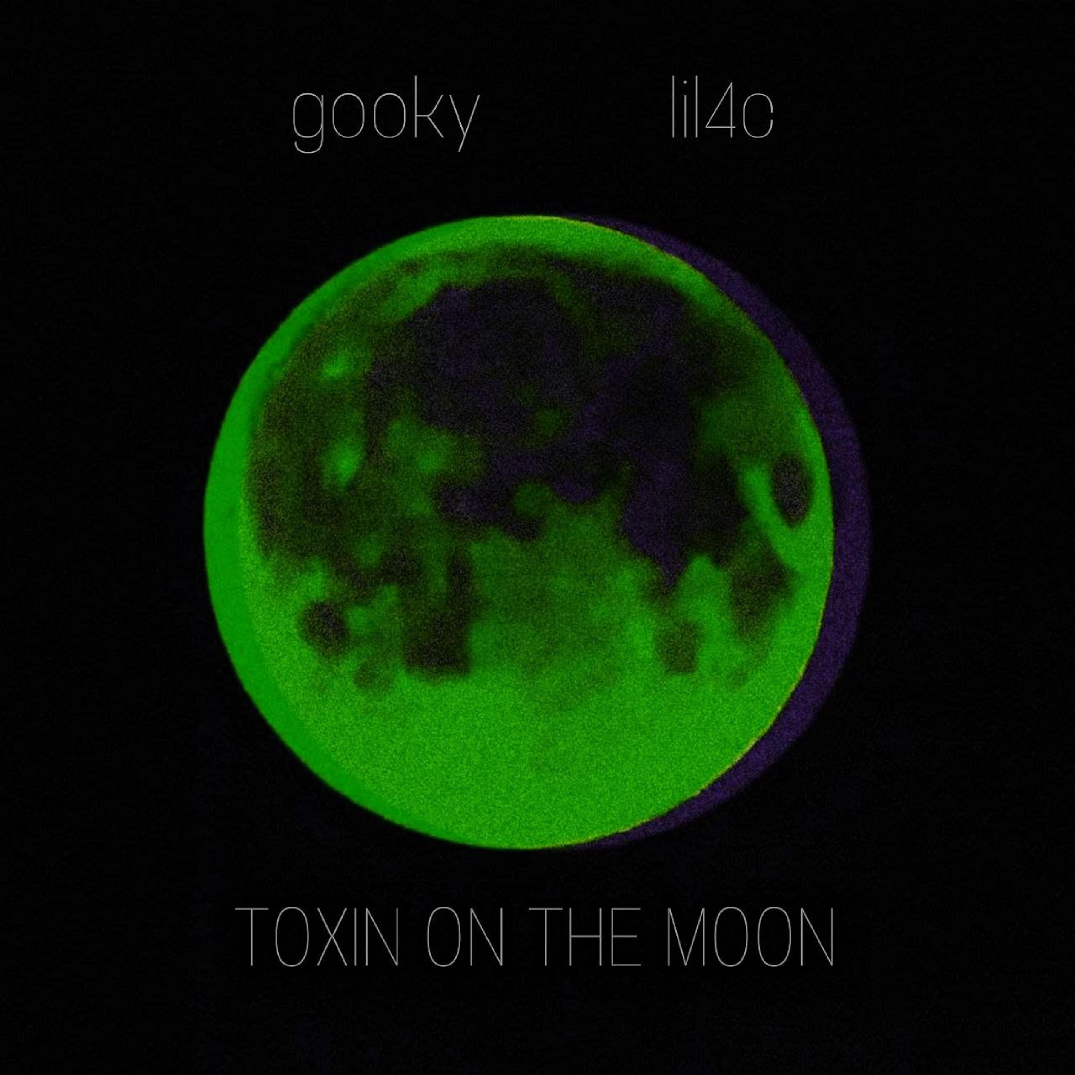 Постер альбома Toxin on the Moon