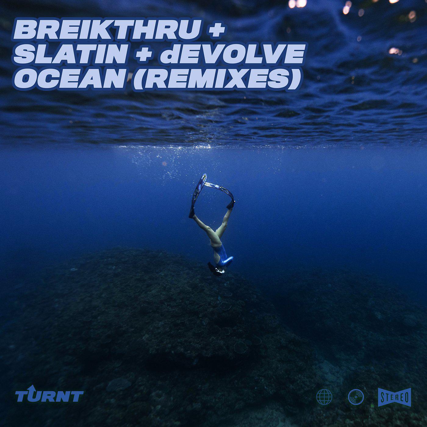 Постер альбома Ocean (Remixes)