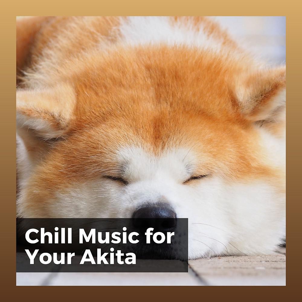 Постер альбома Chill Music for Your Akita