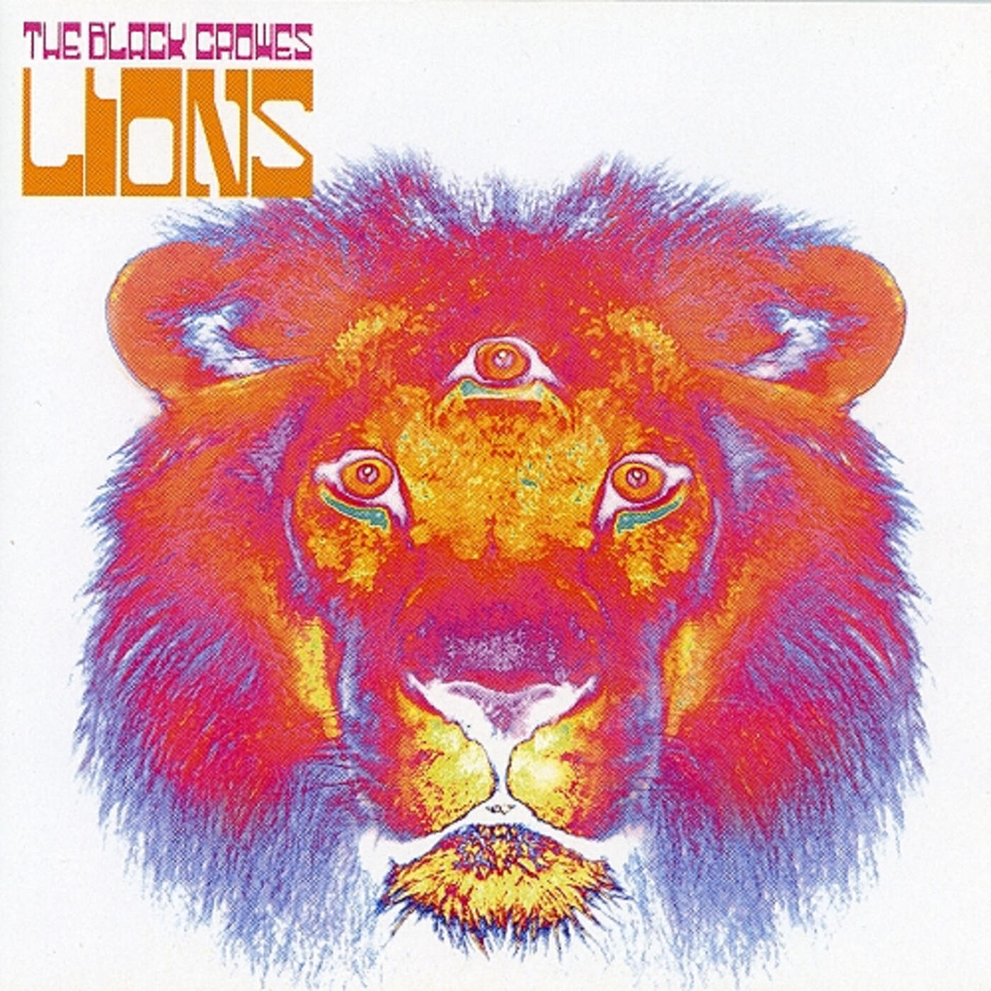 The Black Crowes - Greasy Grass River