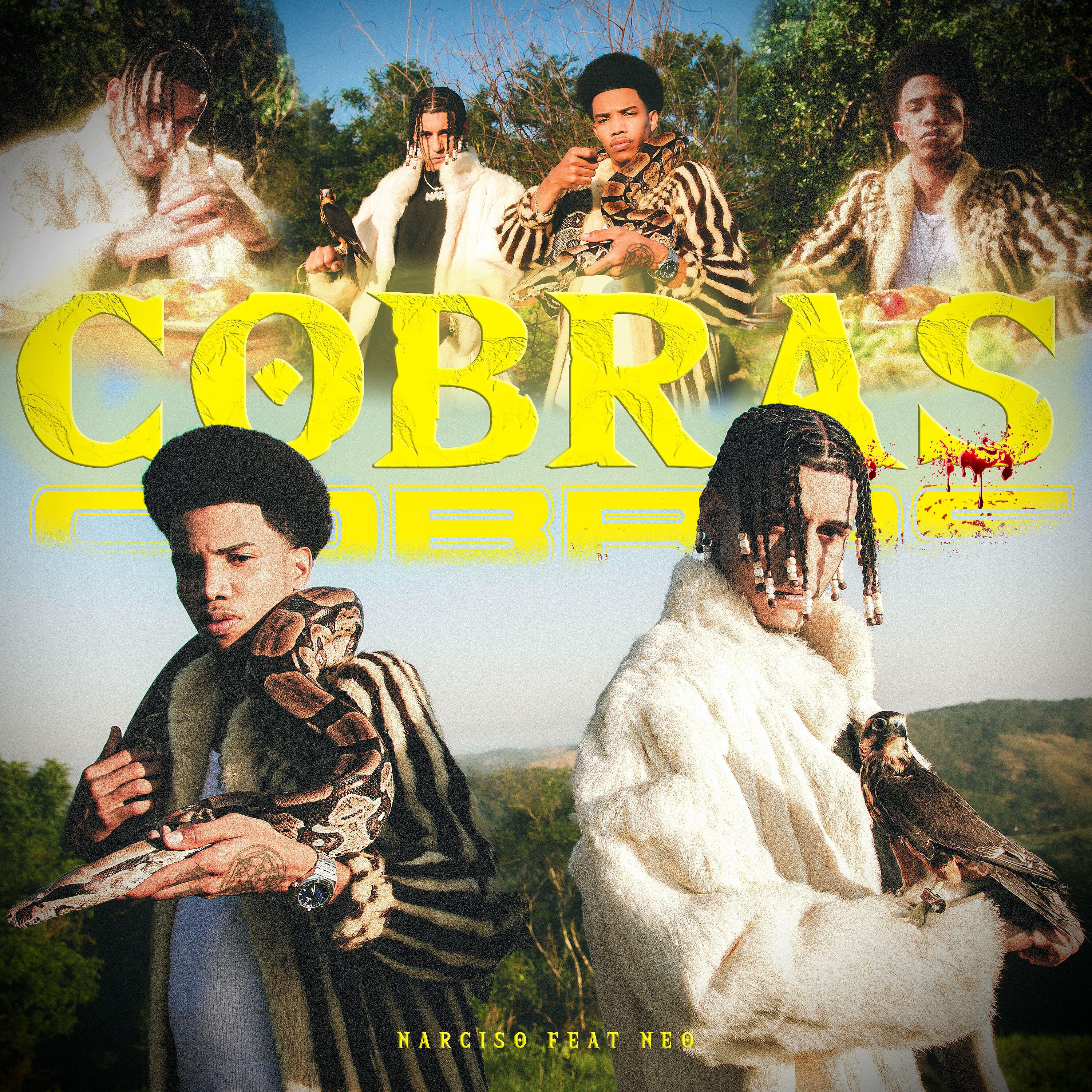 Постер альбома Cobras
