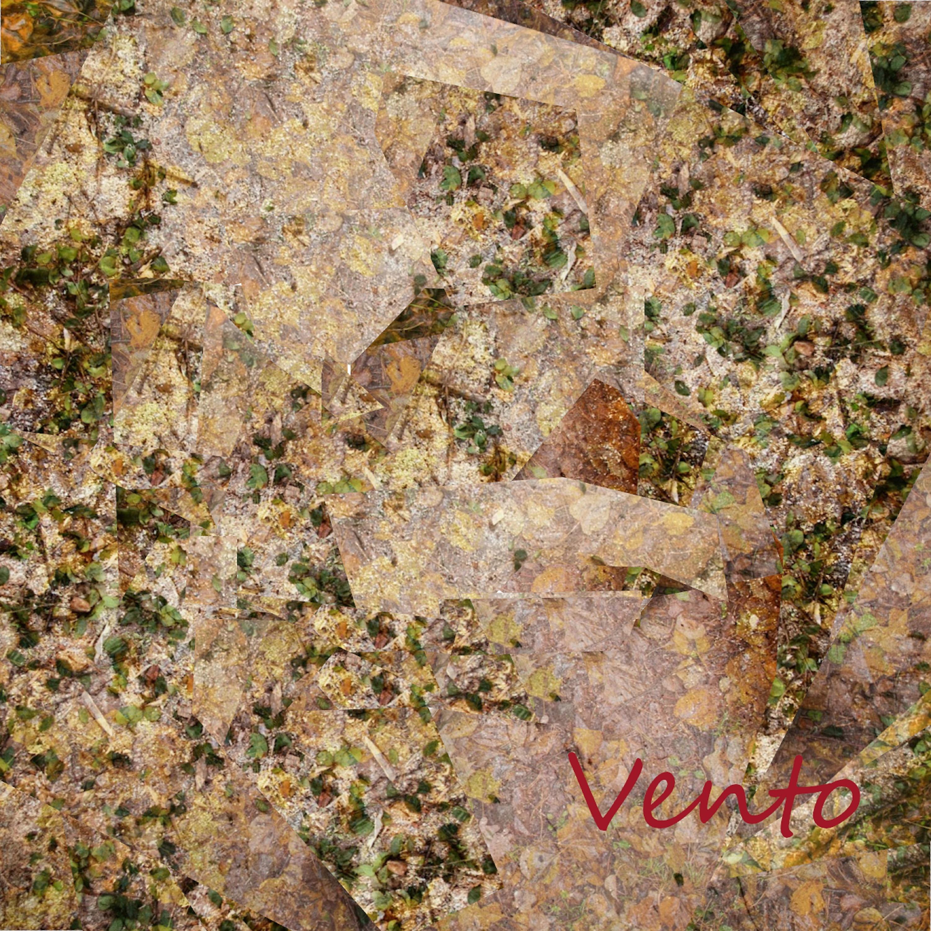 Постер альбома Vento