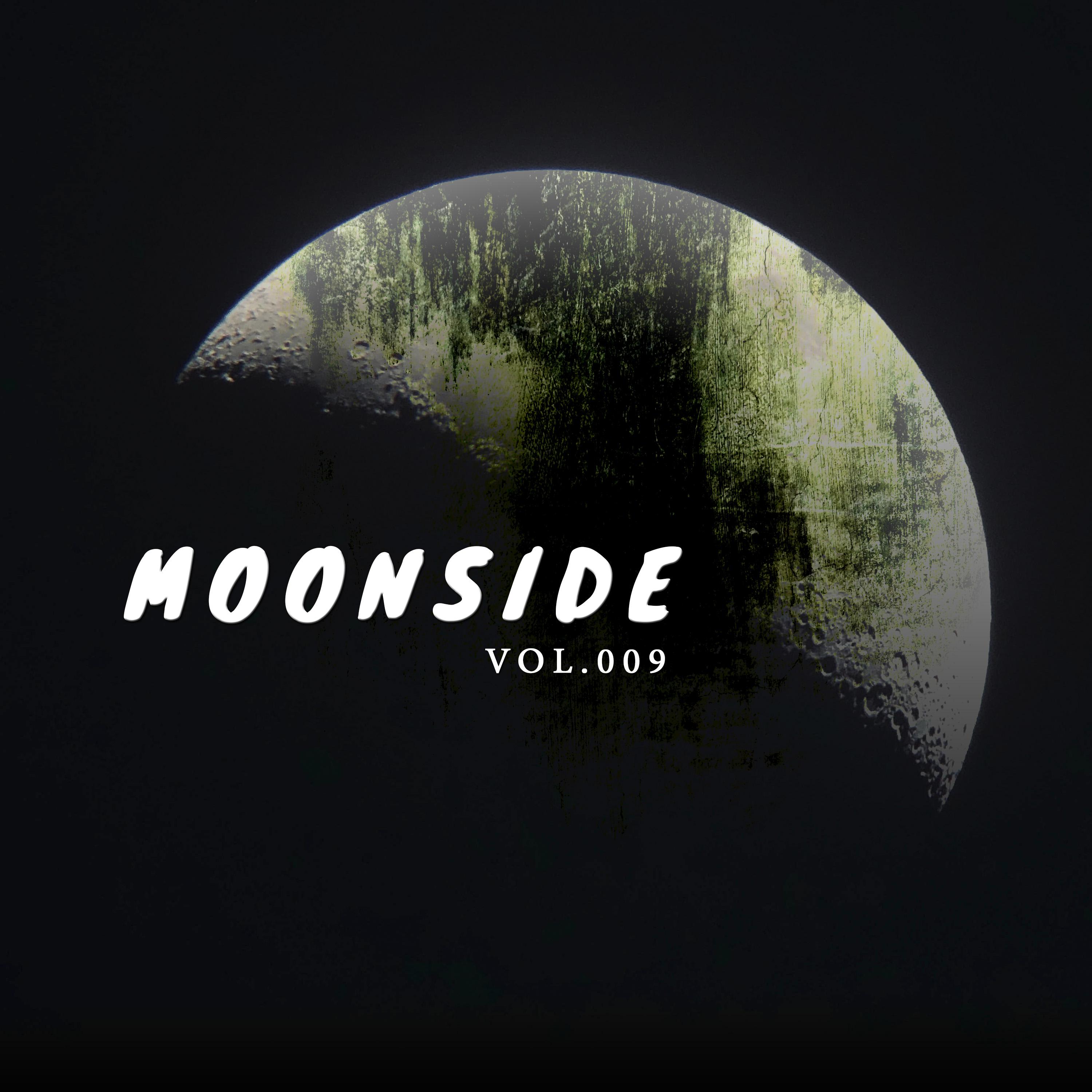 Постер альбома Moonside, Vol. 009