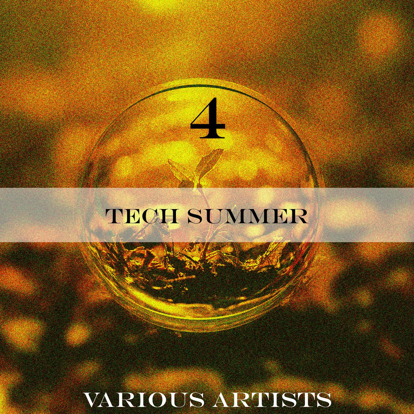Постер альбома Tech Summer 4