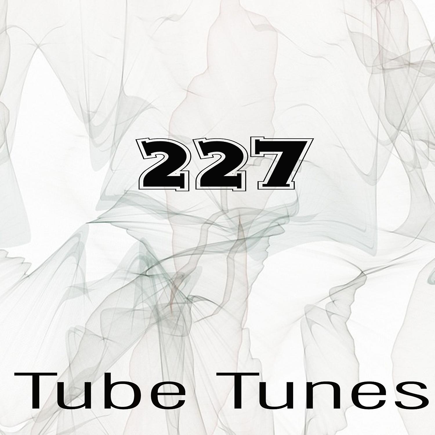 Постер альбома Tube Tunes, Vol.227