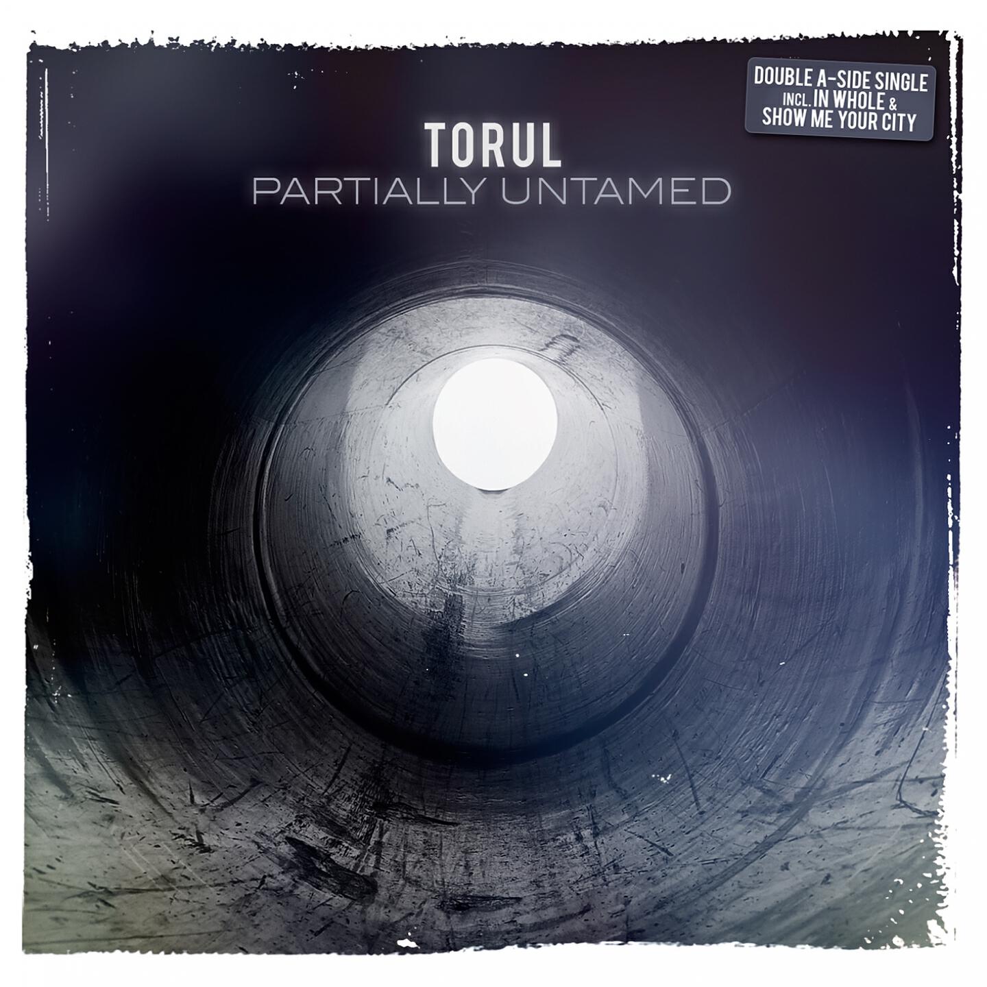 Torul - In Whole (Qualiass Stomp Remix)