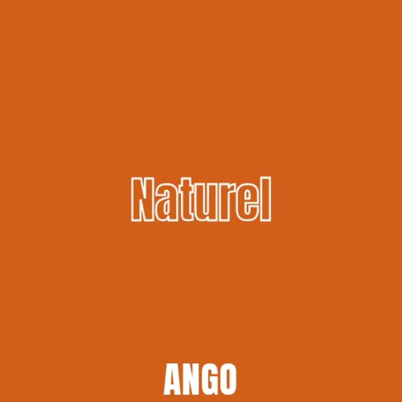 Постер альбома Naturel