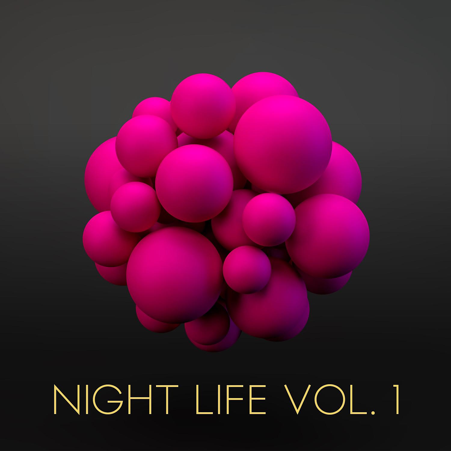 Постер альбома Night Life, Vol. 1