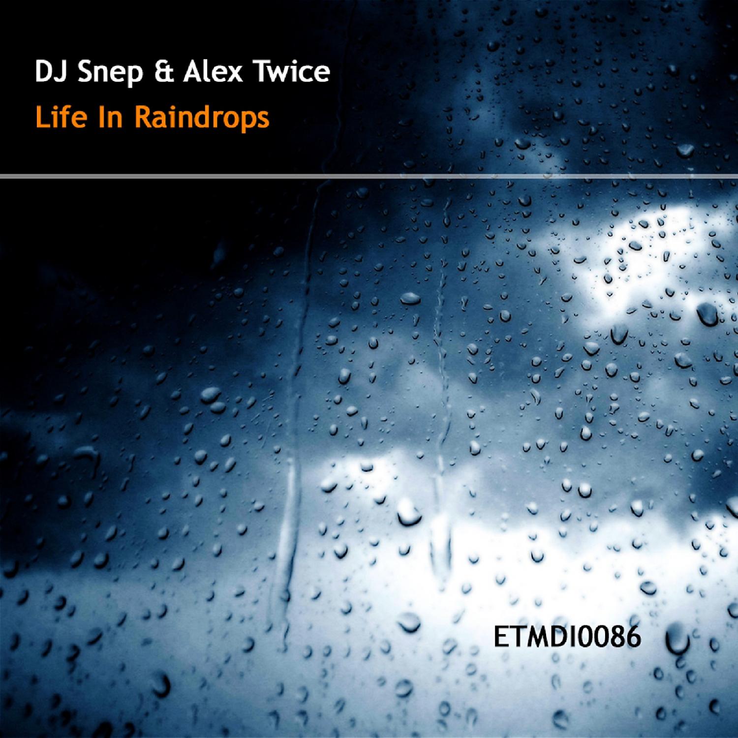 Постер альбома Life in Raindrops