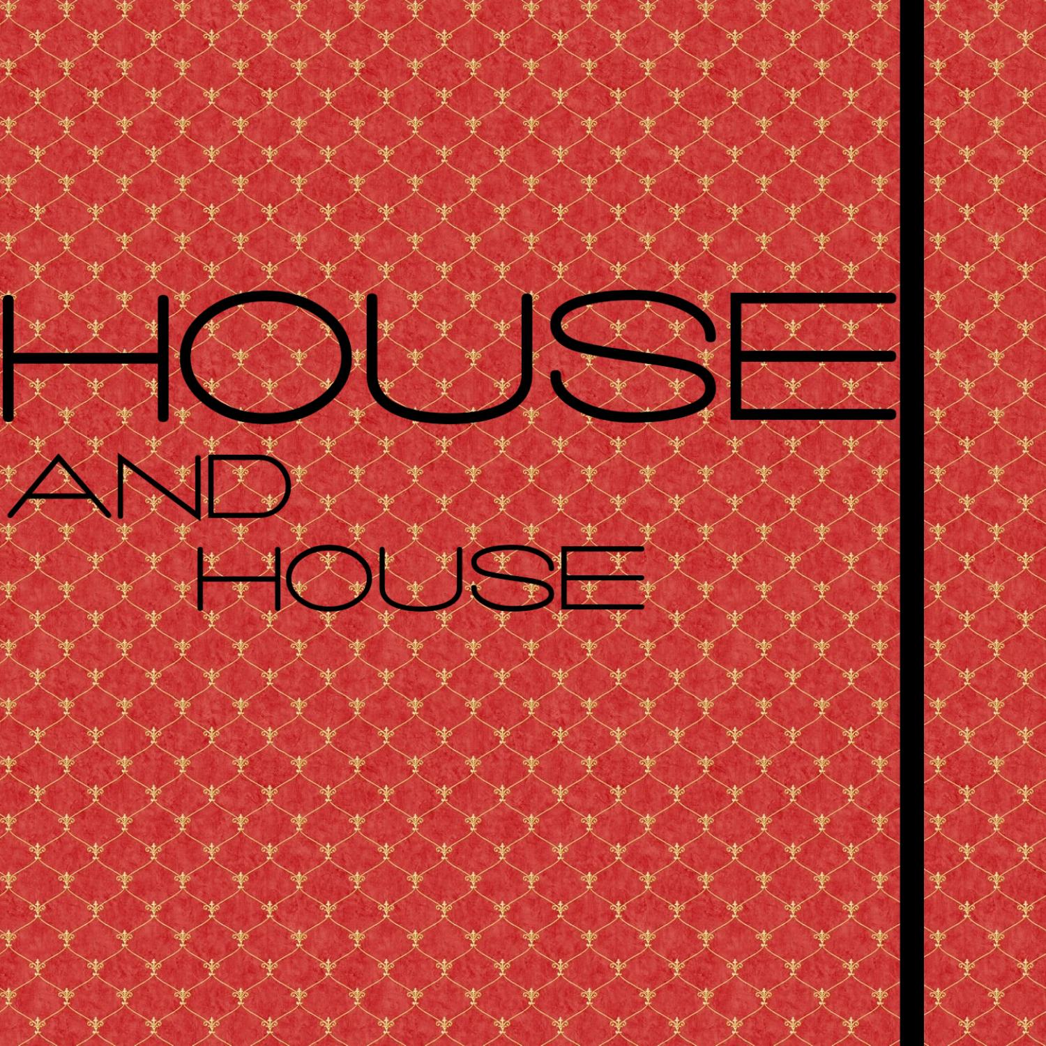 Постер альбома House and House