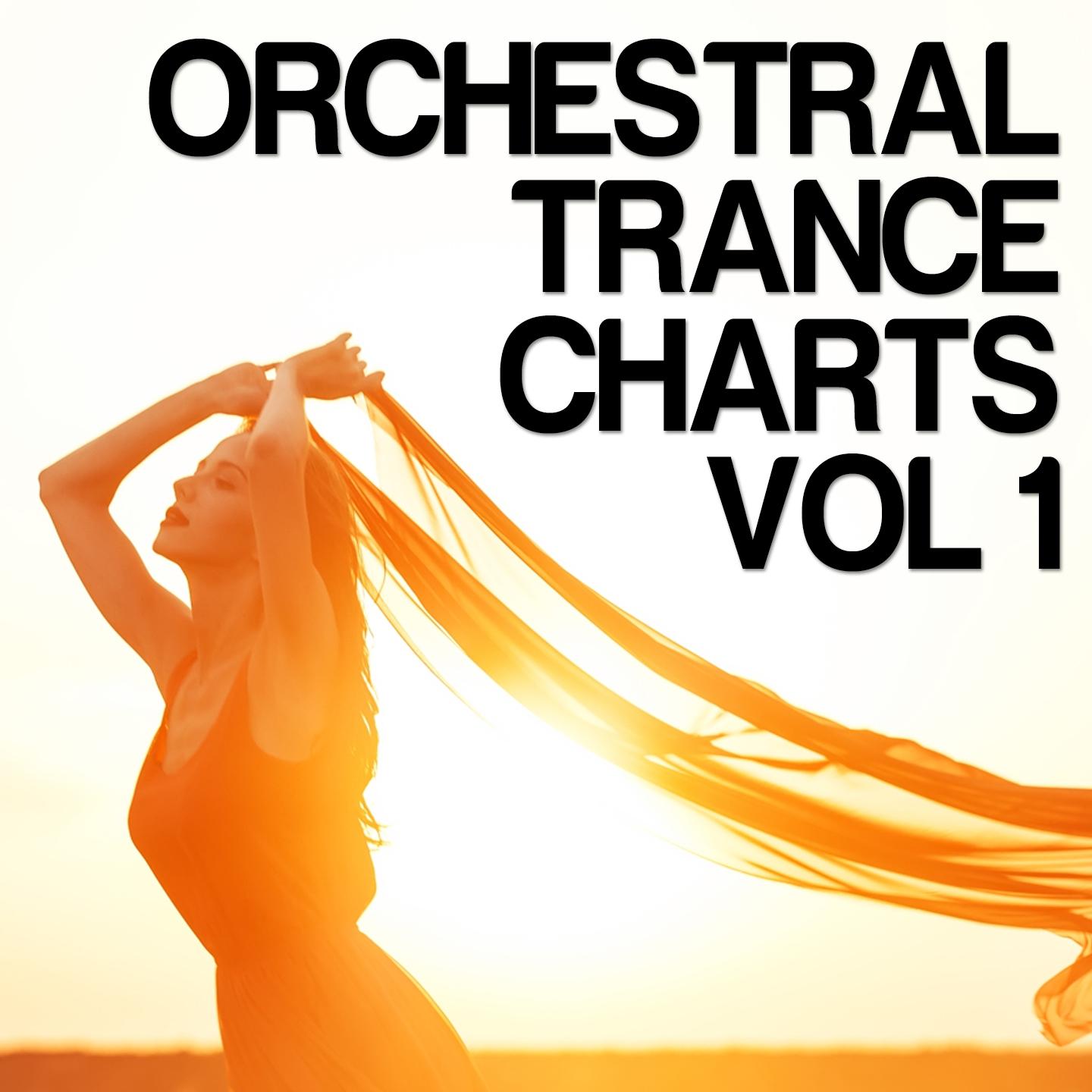 Постер альбома Orchestral Trance Charts, Vol. 1