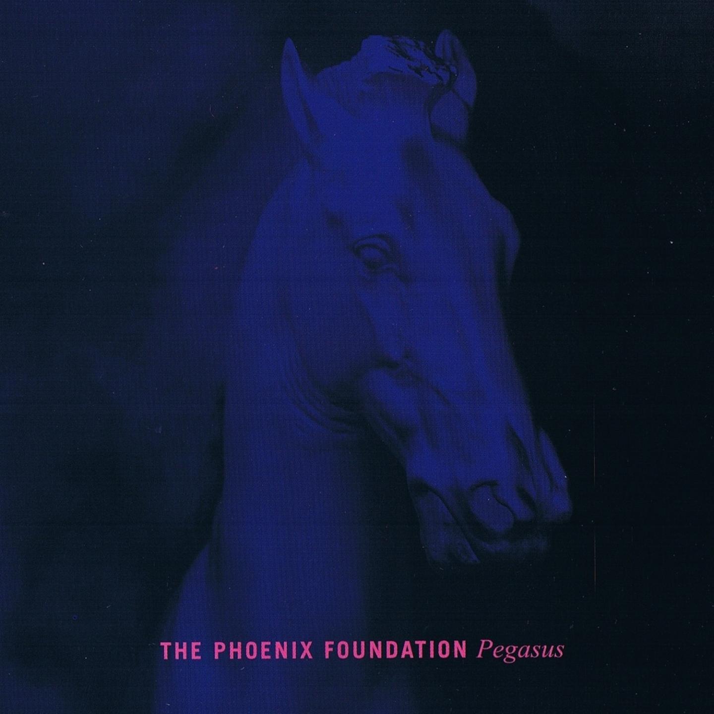 Постер альбома Pegasus
