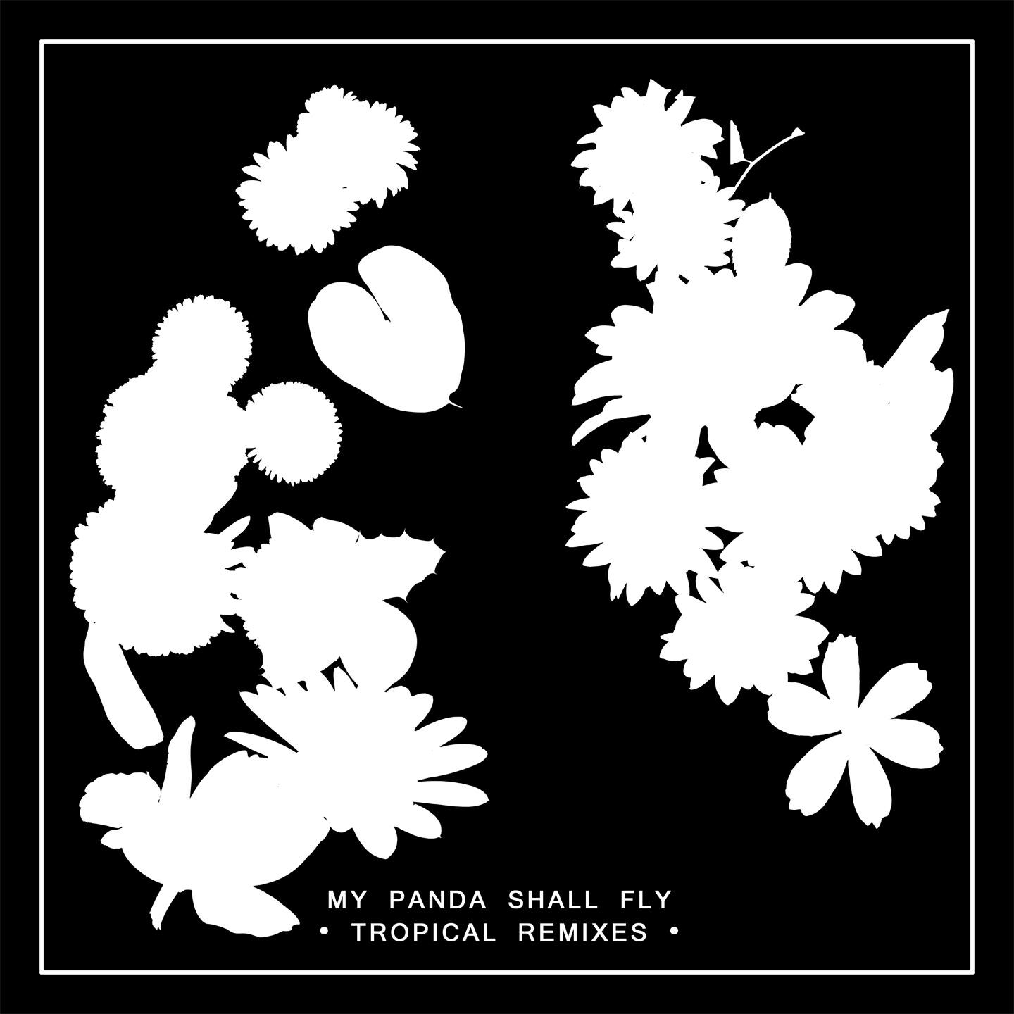 My Panda Shall Fly - Ranifall (Let the Machines Do the Work Remix)