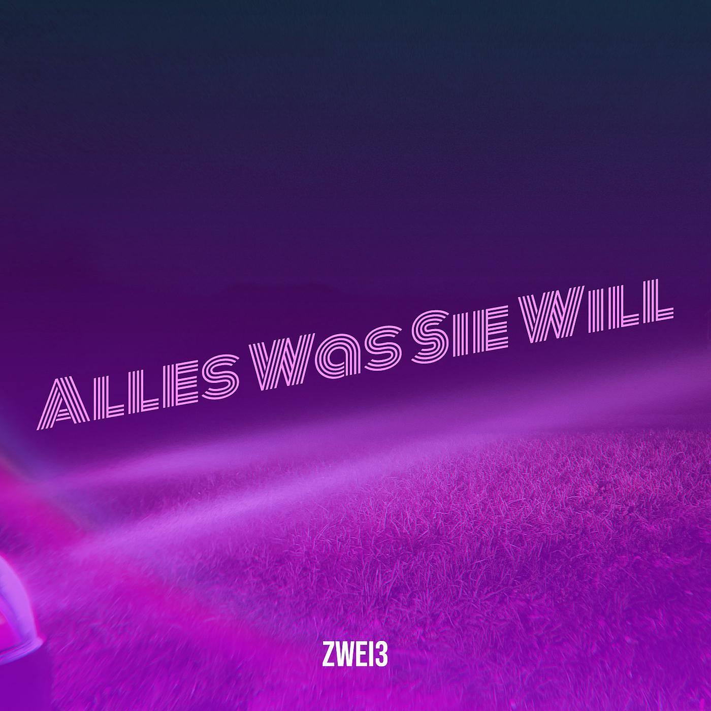 Постер альбома Alles Was Sie Will