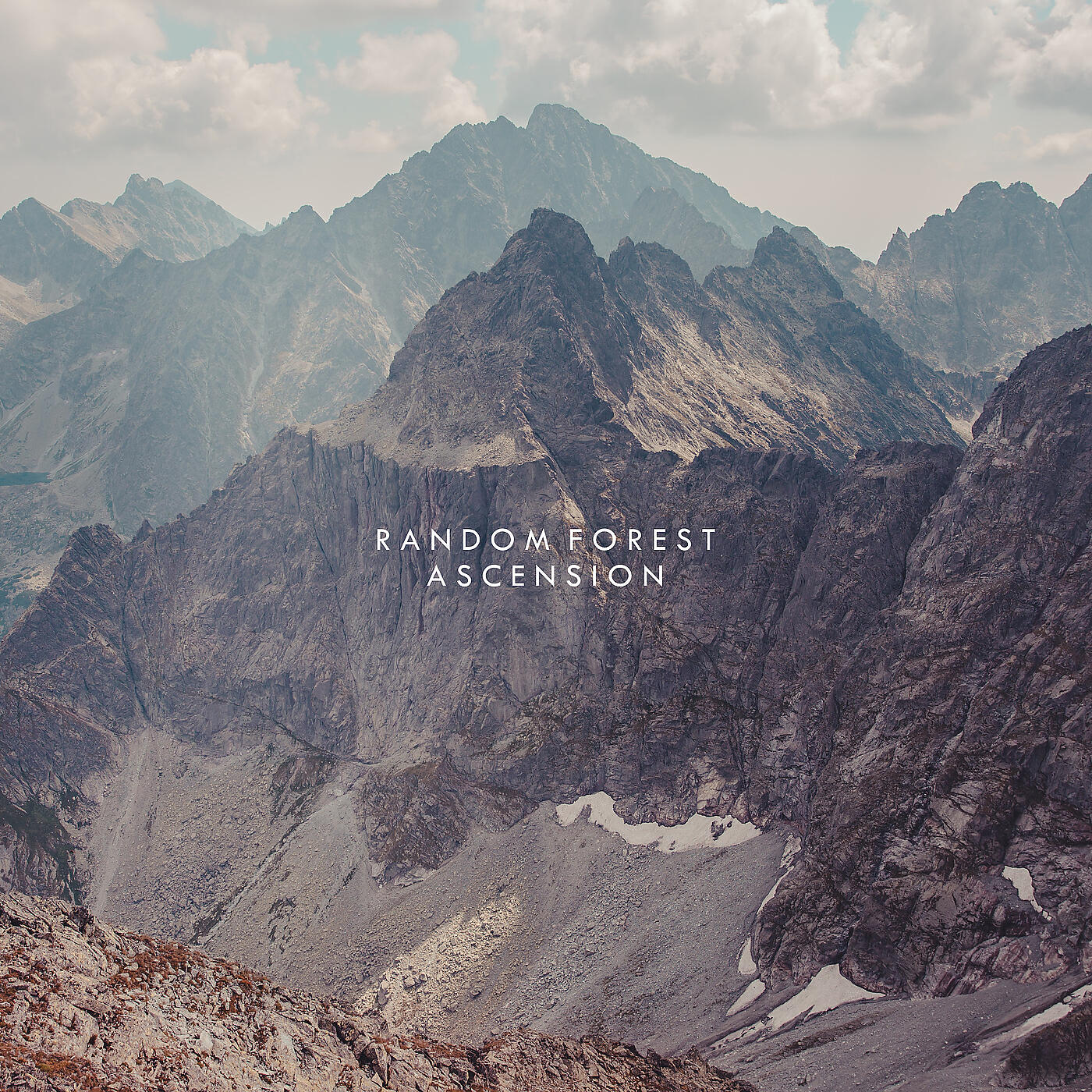 Random Forest - Across a Vast Distance