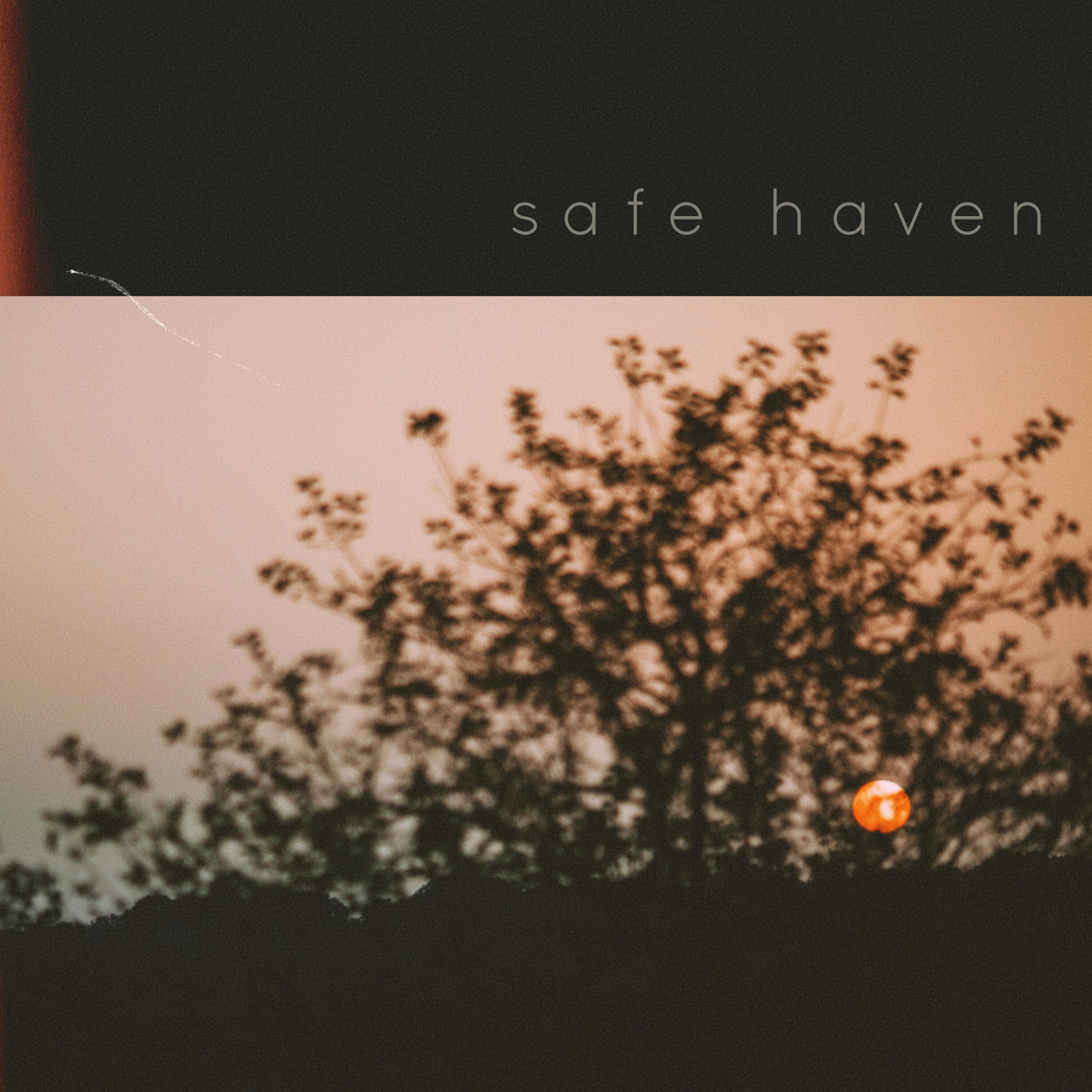 Постер альбома safe haven