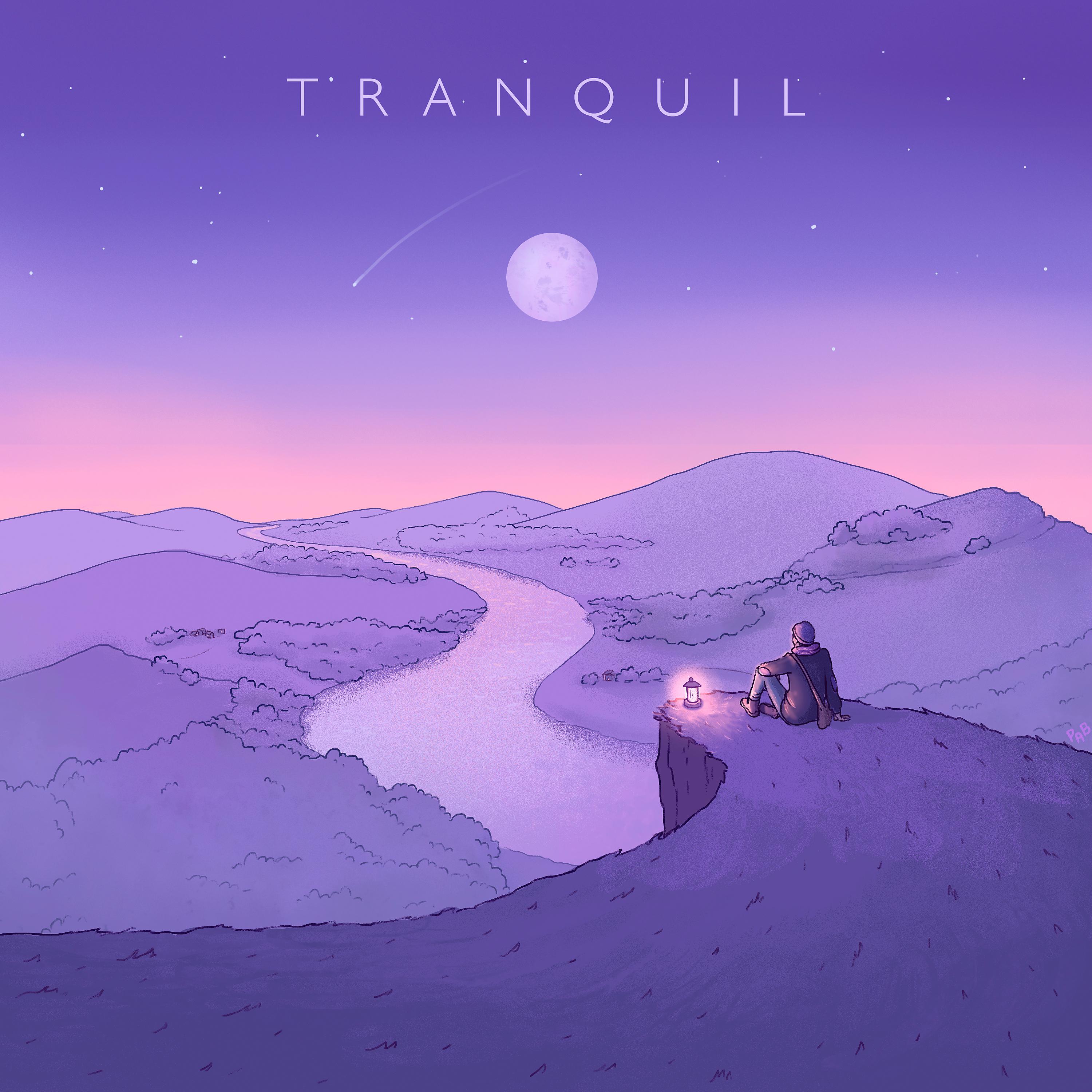 Постер альбома Tranquil