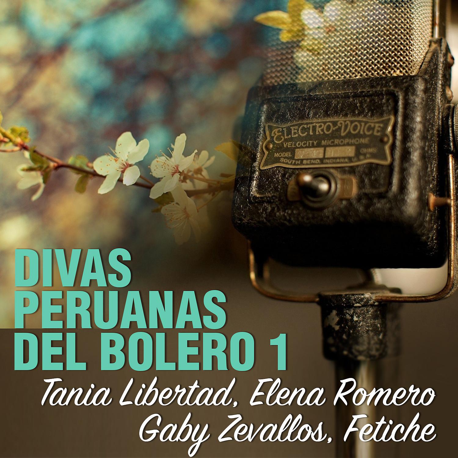 Постер альбома Divas Peruanas del Bolero, Vol.1